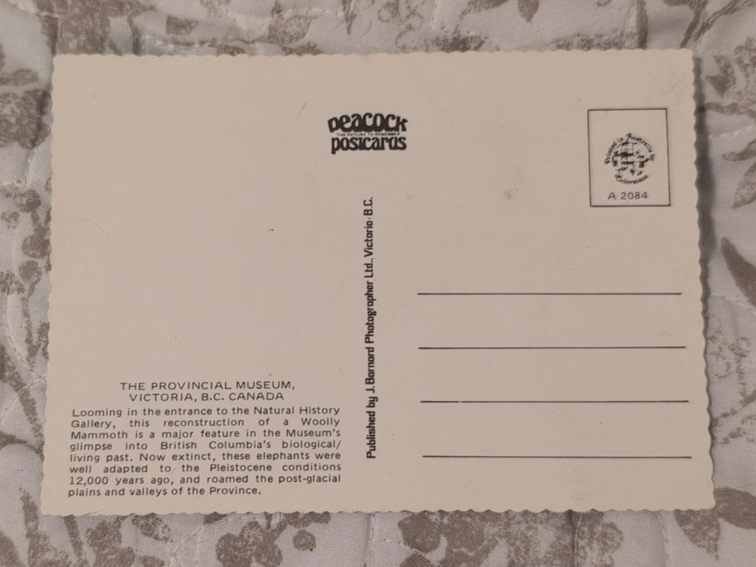 Woolly Mammoth Provincial Museum Postcard