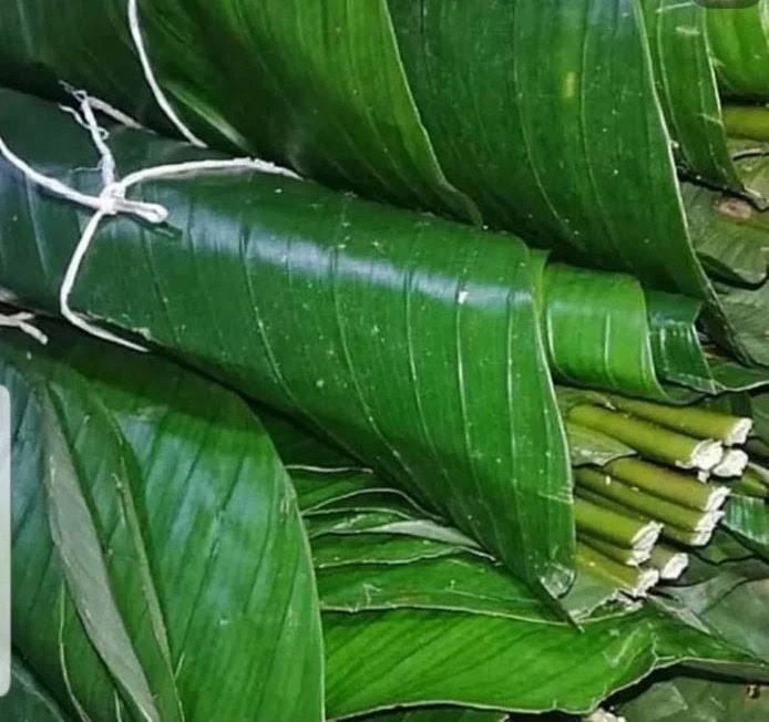 Fresh mio mio leaf