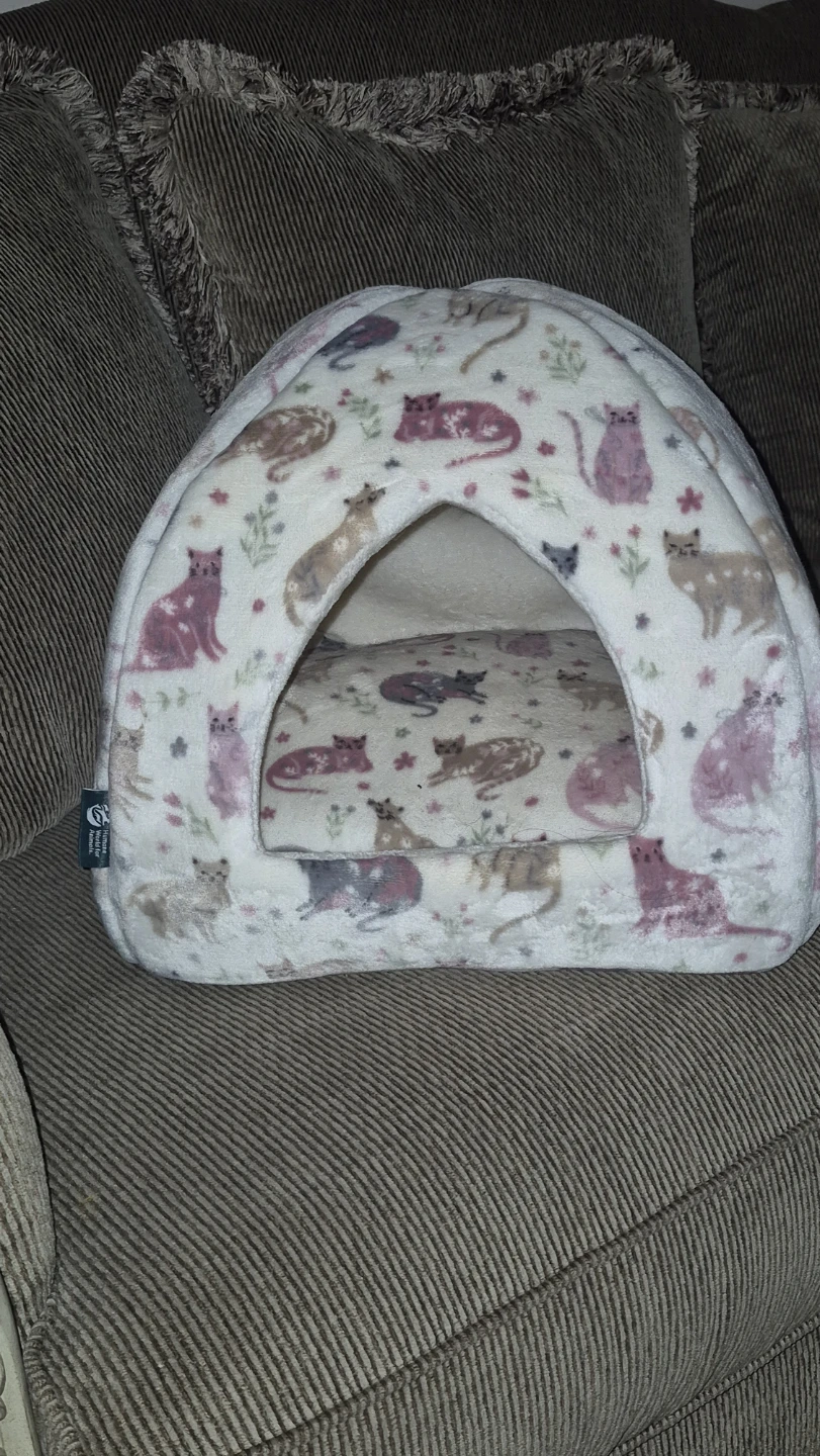 Humane World for Animals cat bed