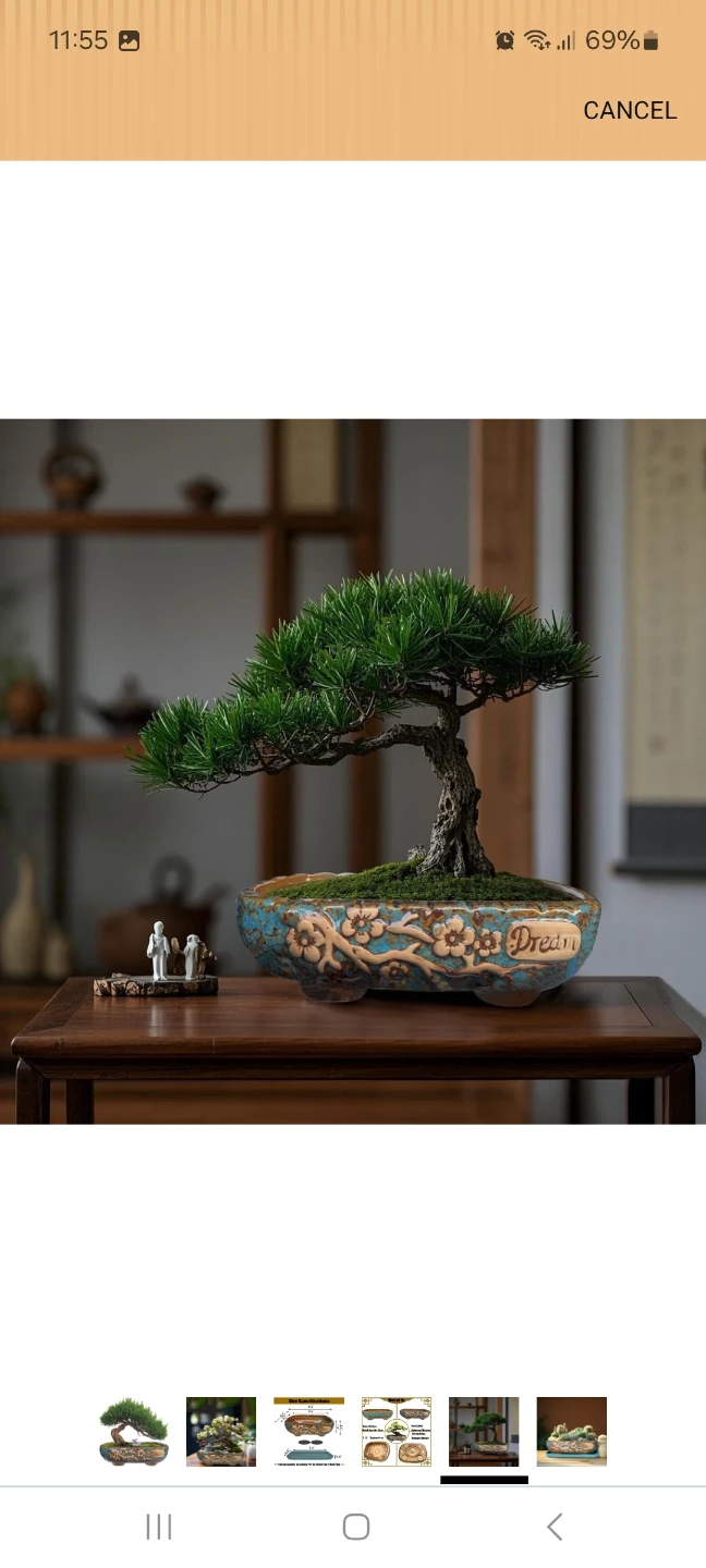Ceramic Bonsai Pot with Floral Embossing