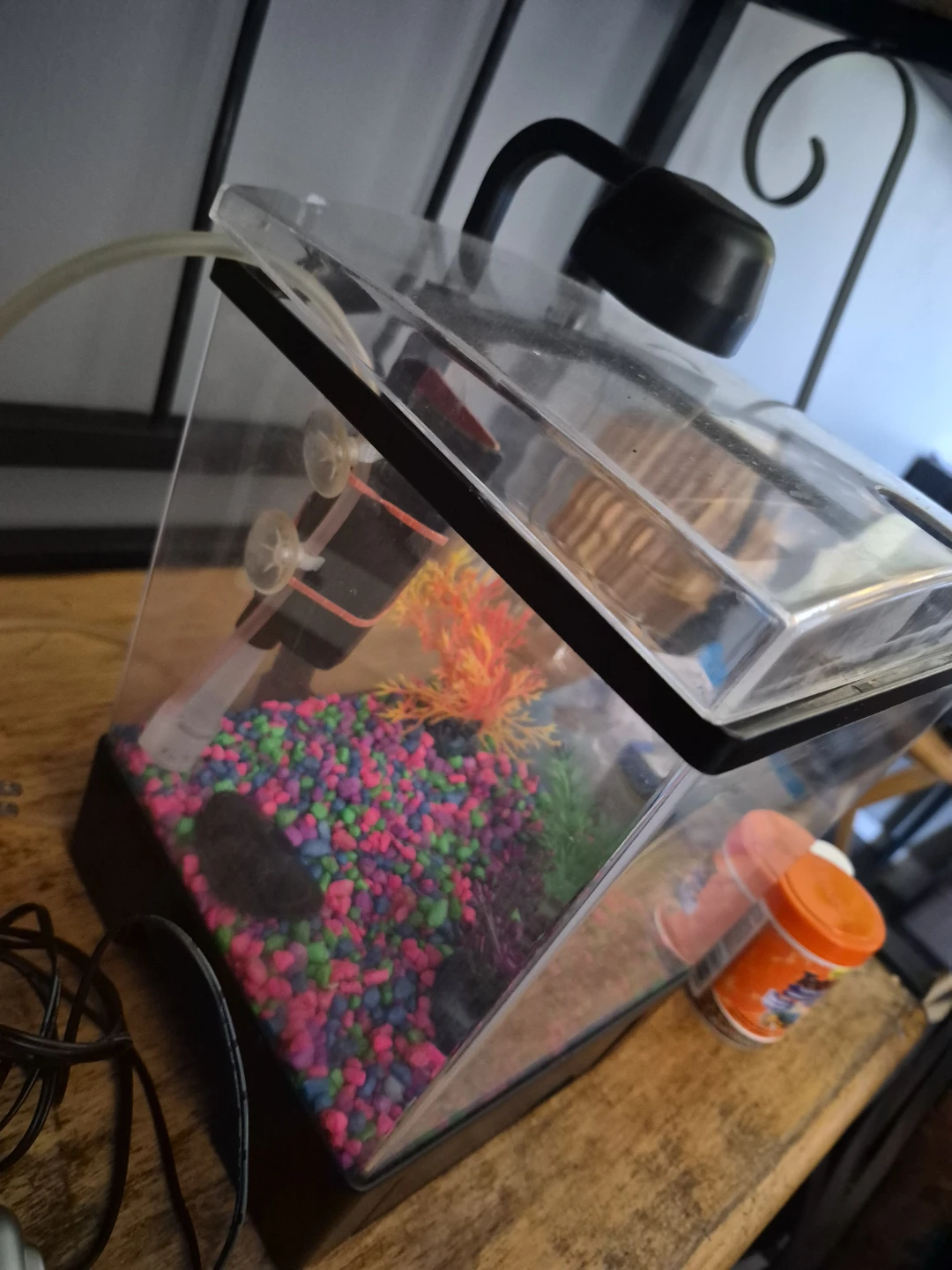 Top Fin Aquarium Tank Setup - photo 4