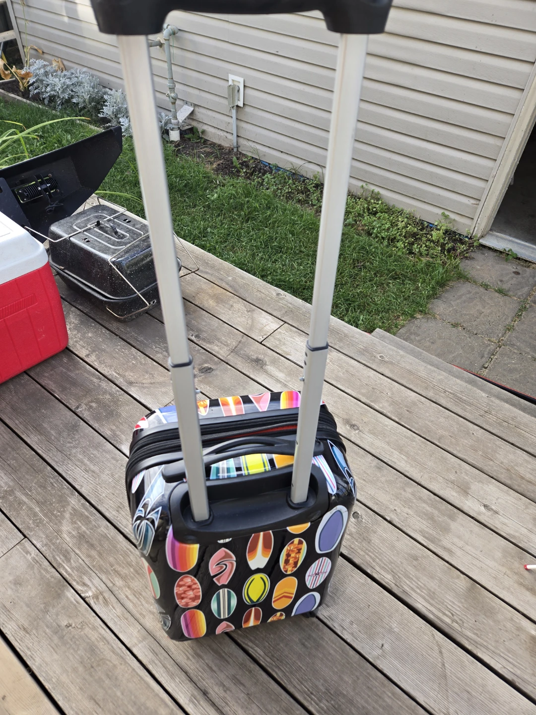 it Luggage Surfboard Print Carry-On - photo 3