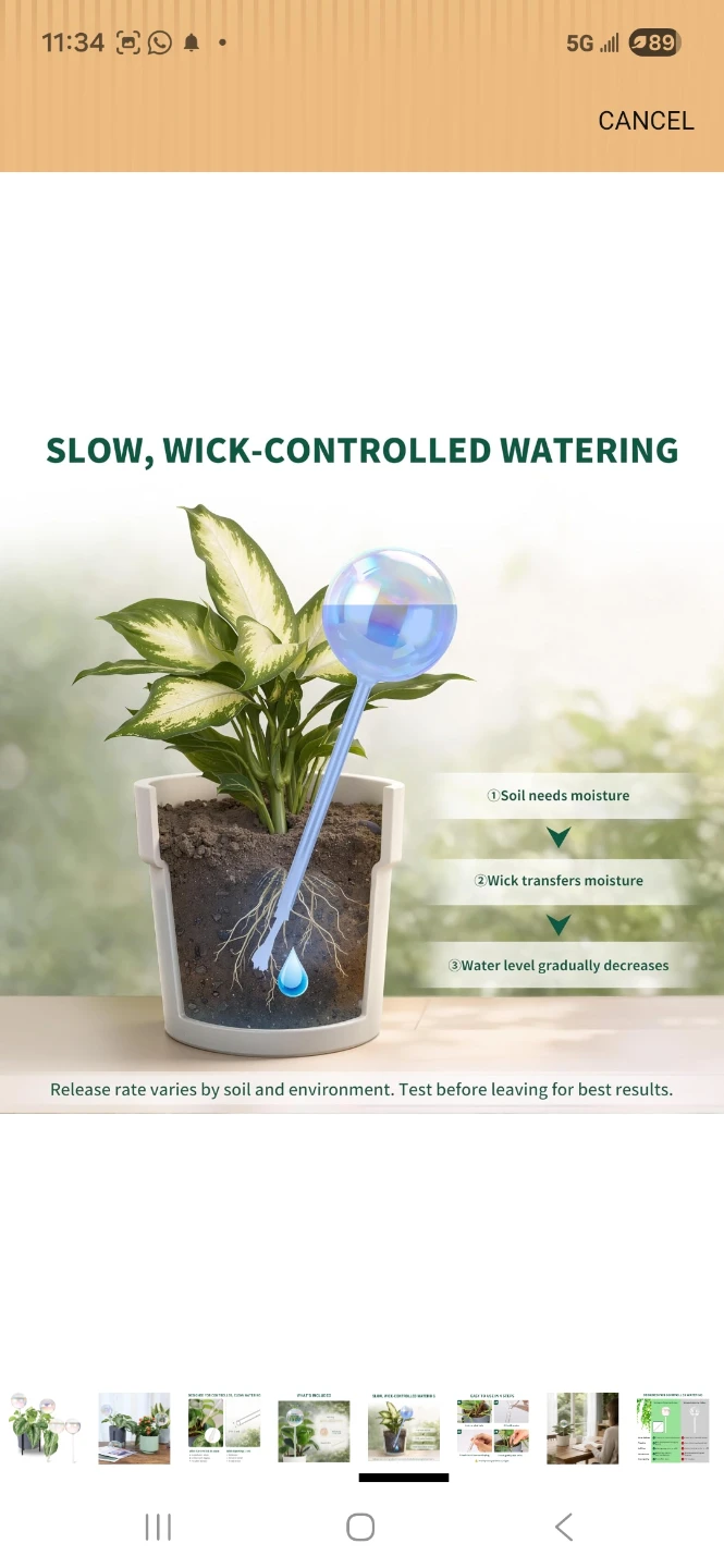 Set of Glass Self-Watering Globes - photo 4
