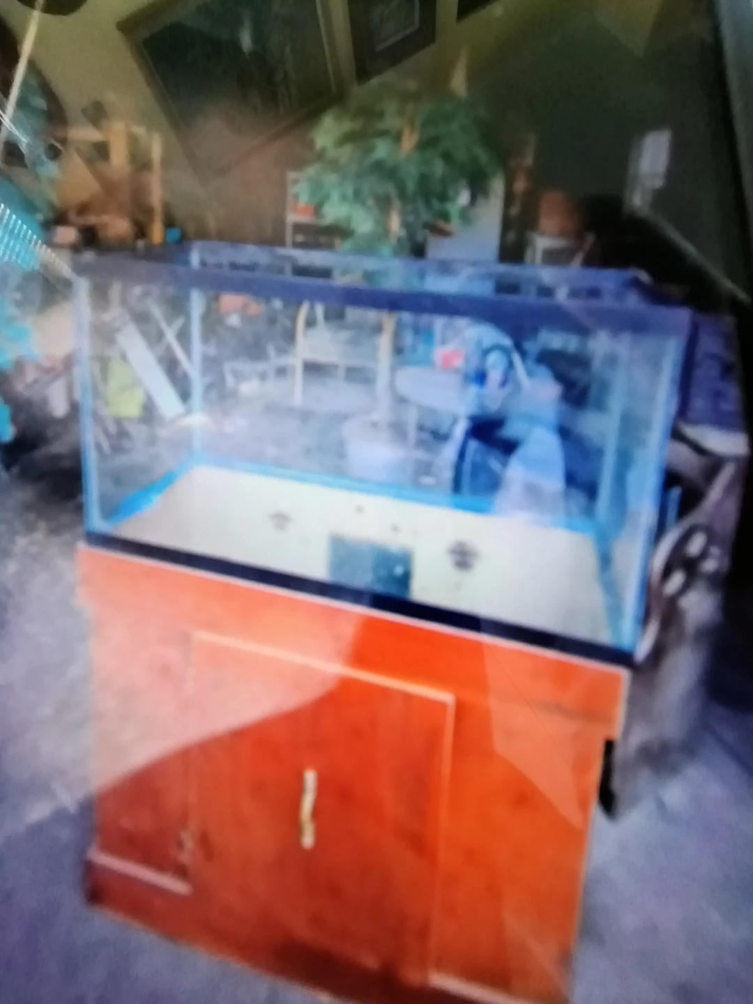 29 Gallon Aquarium With Wood stand no leaks or cracks