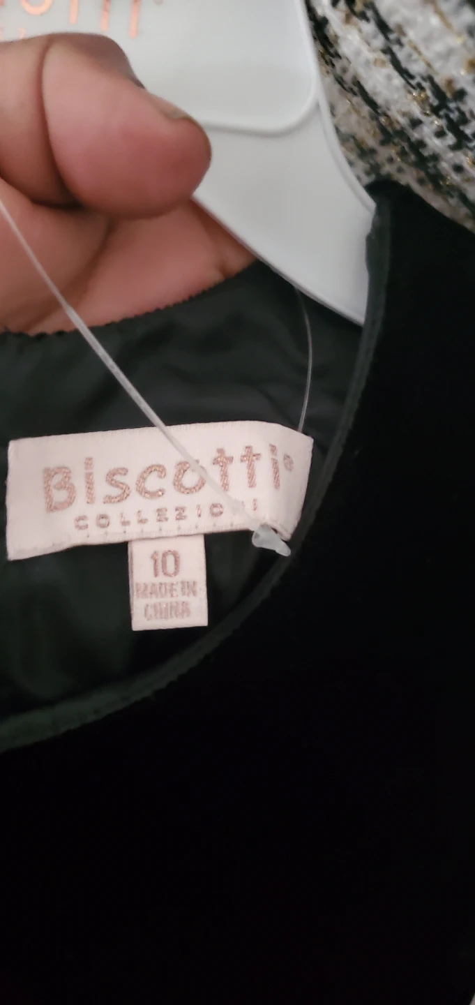 Biscotti Collezioni Dress with Matching Purse Size 10 - photo 4