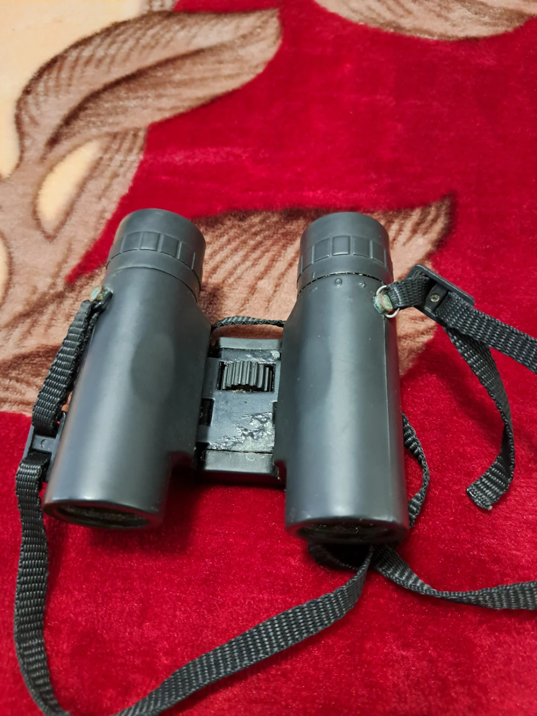 Bushnell 10x25 Waterproof Binoculars - photo 2