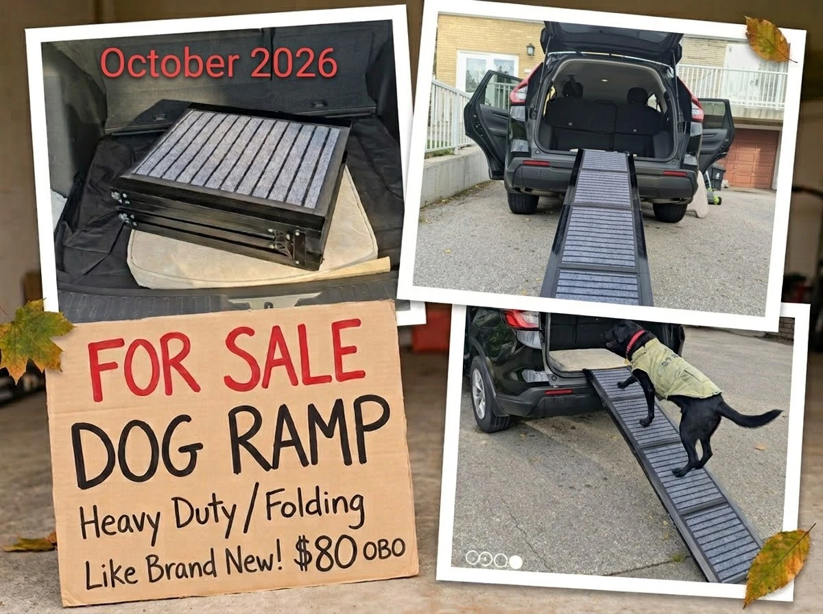 Wormutong Heavy Duty Folding Pet Ramp - photo 2