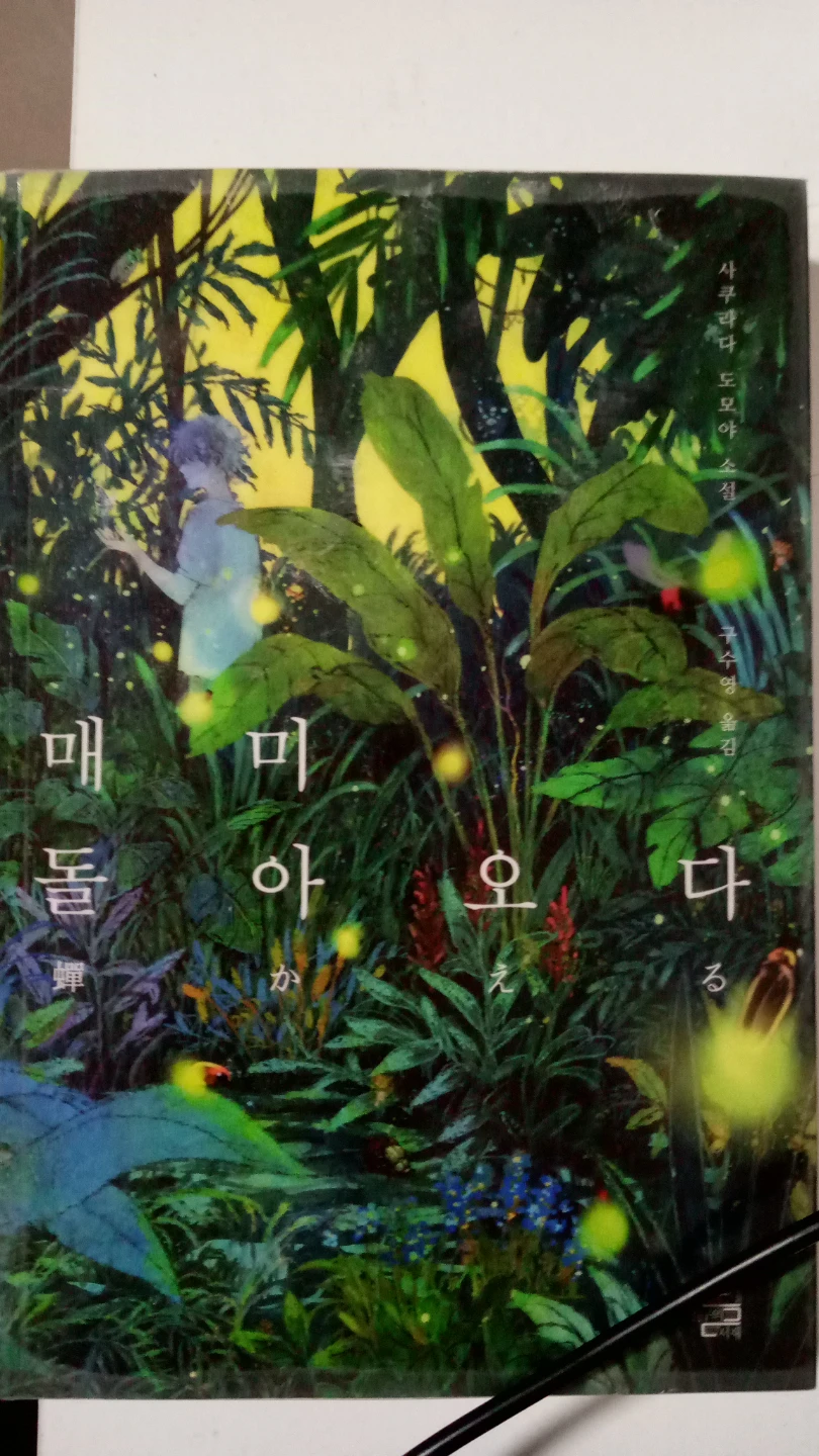 Cicada Returns (Mae-mi-dol-a-o-da) Novel