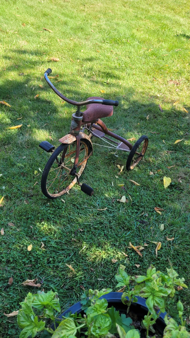Old Antique bike - photo 2
