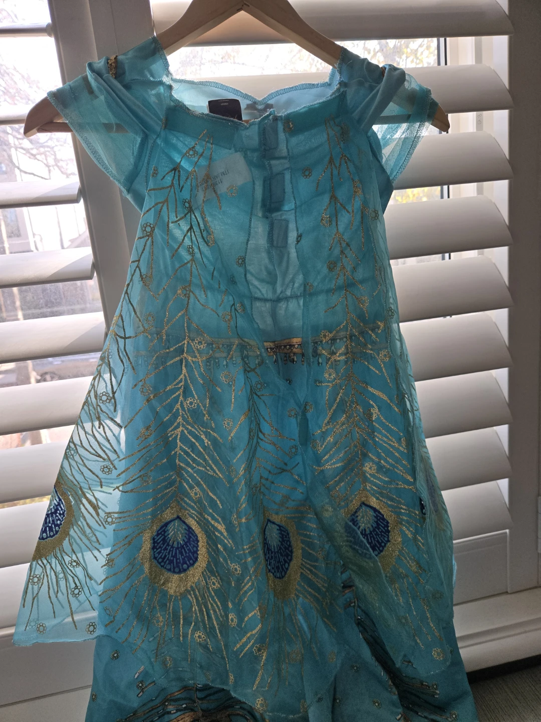 Aladdin Princess Jasmine costume with Gold Shoes - photo 2
