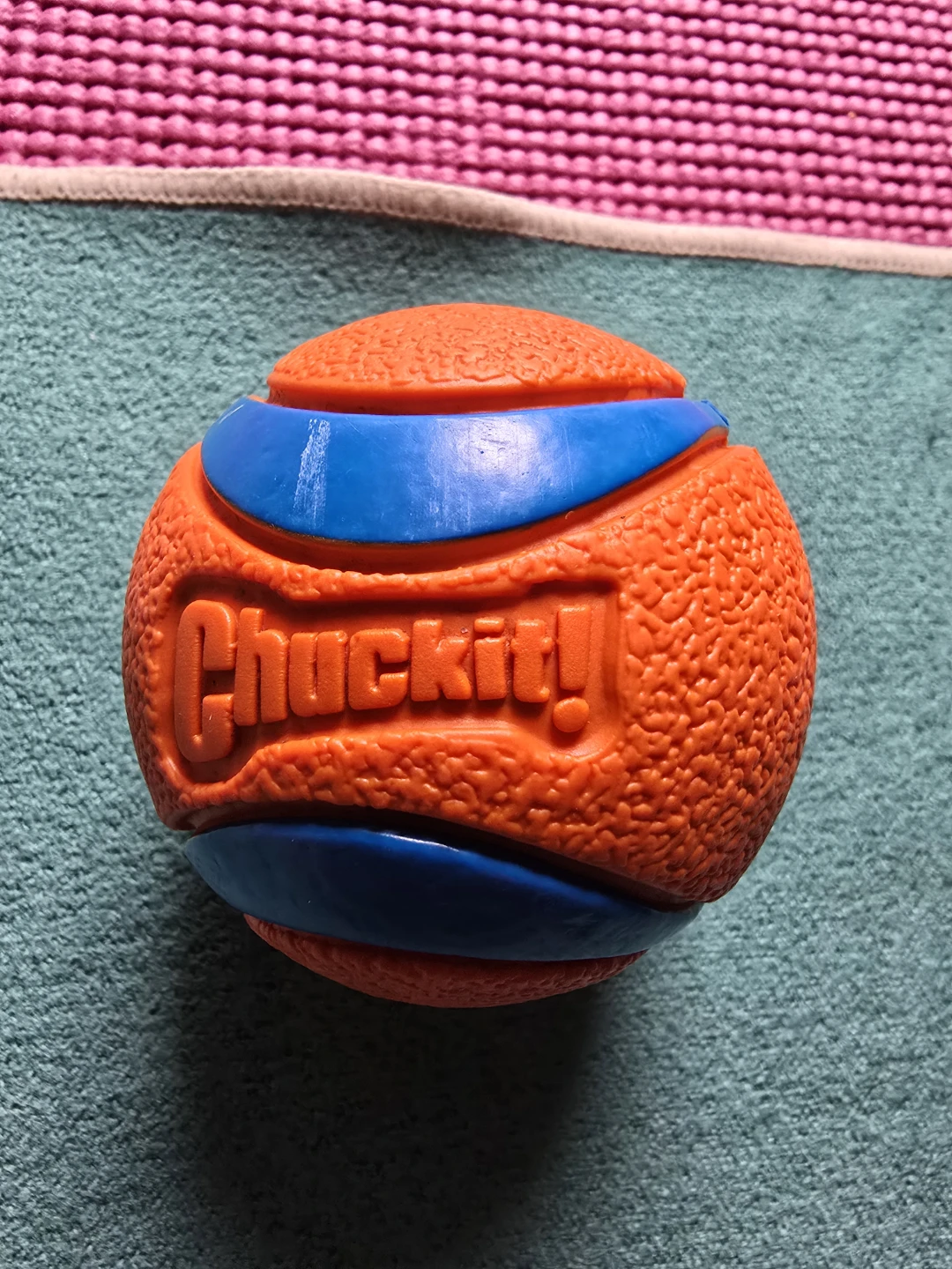 Chuckit! Ultra Ball Medium