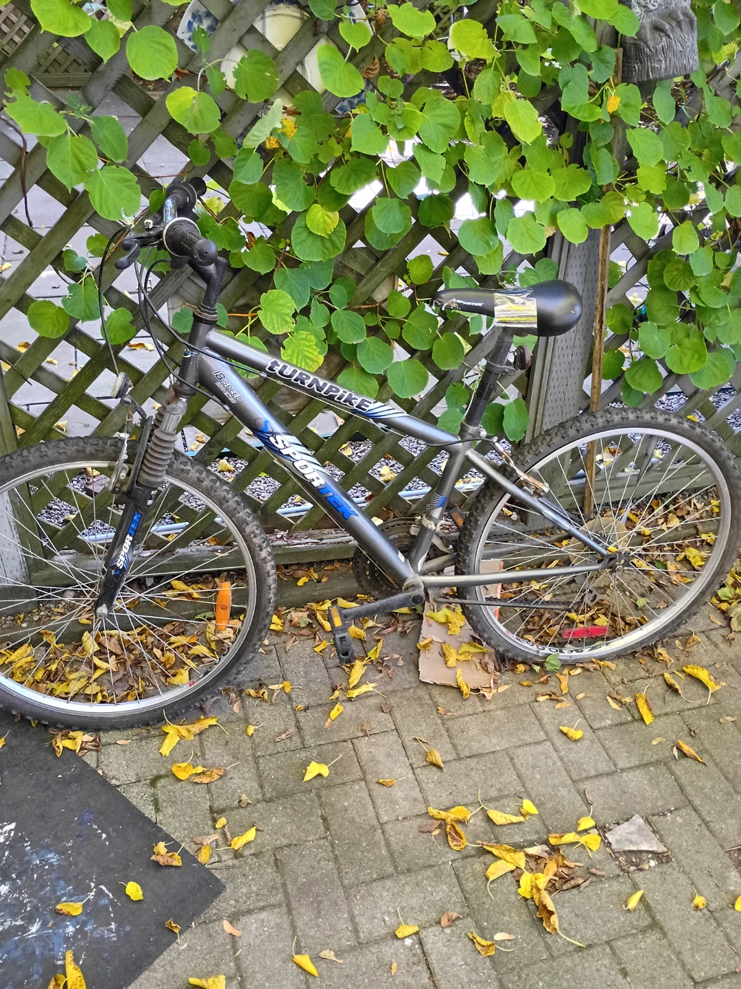 Sportek Turnpike 18 Speed Mountain Bike
