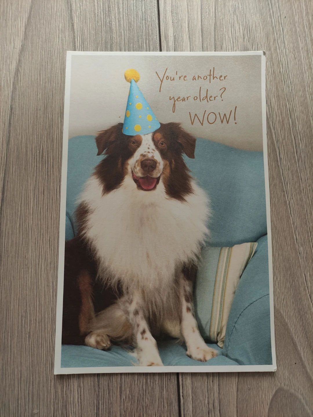 Dog themed birthday greeting card