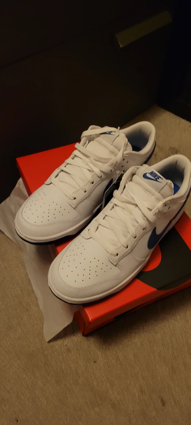 Nike Dunk Low Retro White and Blue