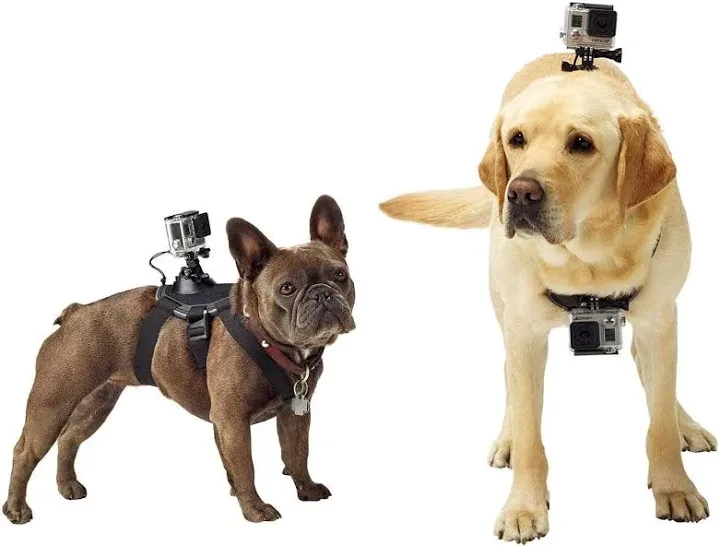 NEW! GoPro Camera Dog Harness (fits 20 to 120lbs!)