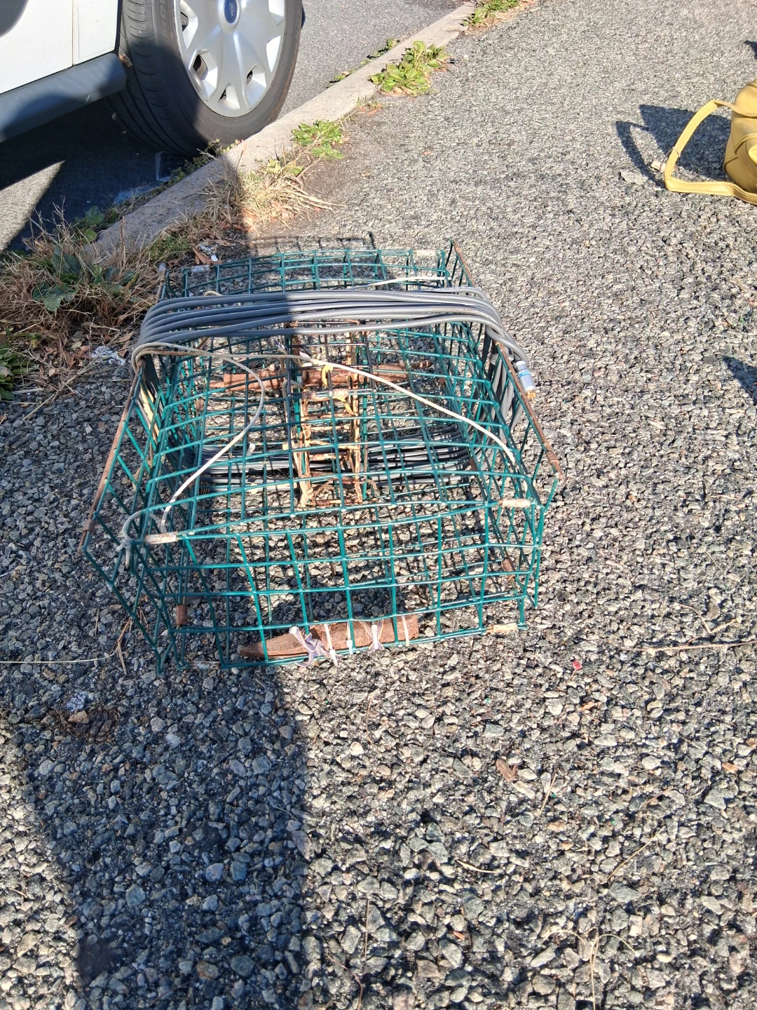 Metal Wire Crab Pot Trap - photo 3