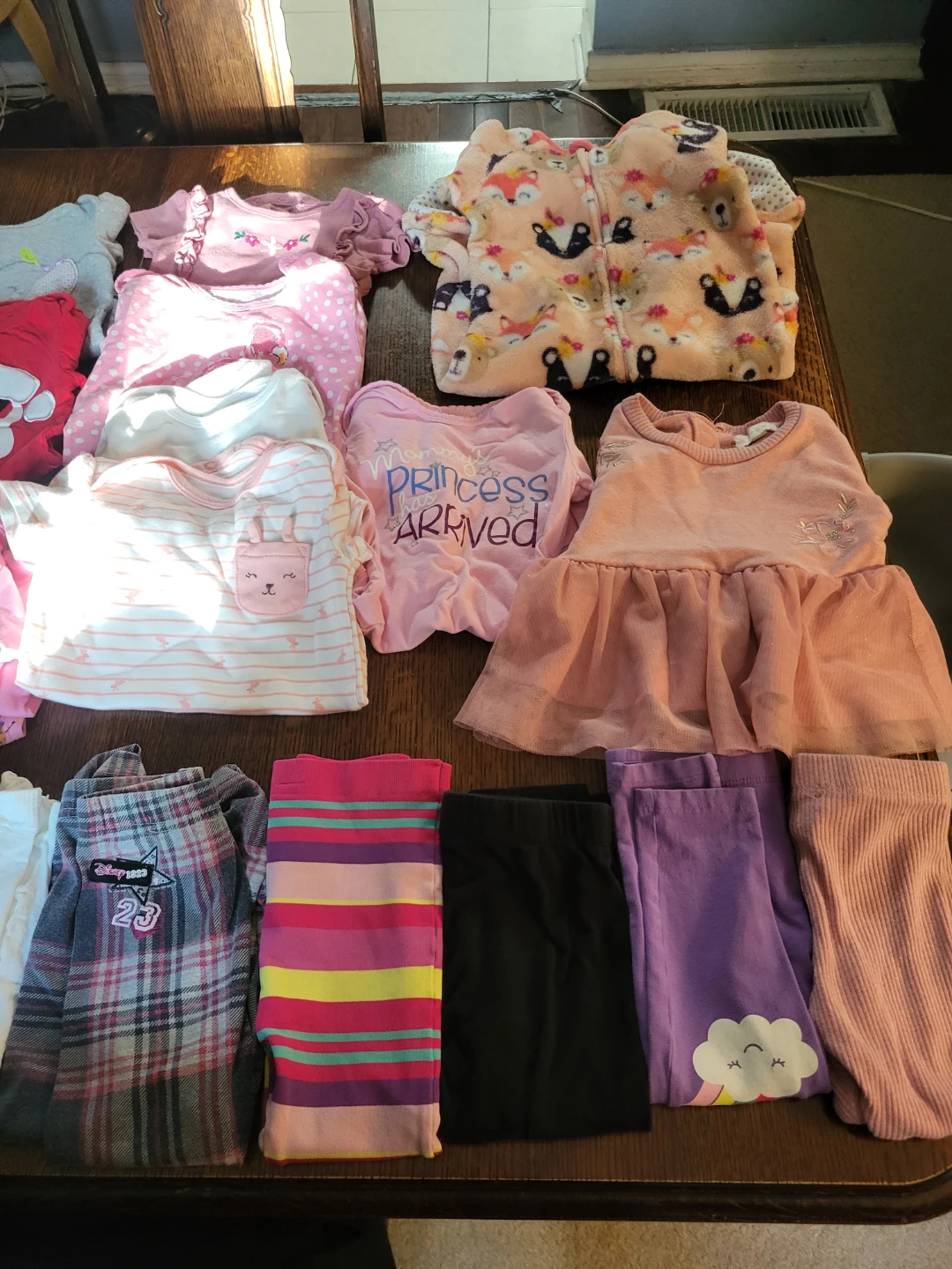 Assorted Baby Girl Clothing Bundle