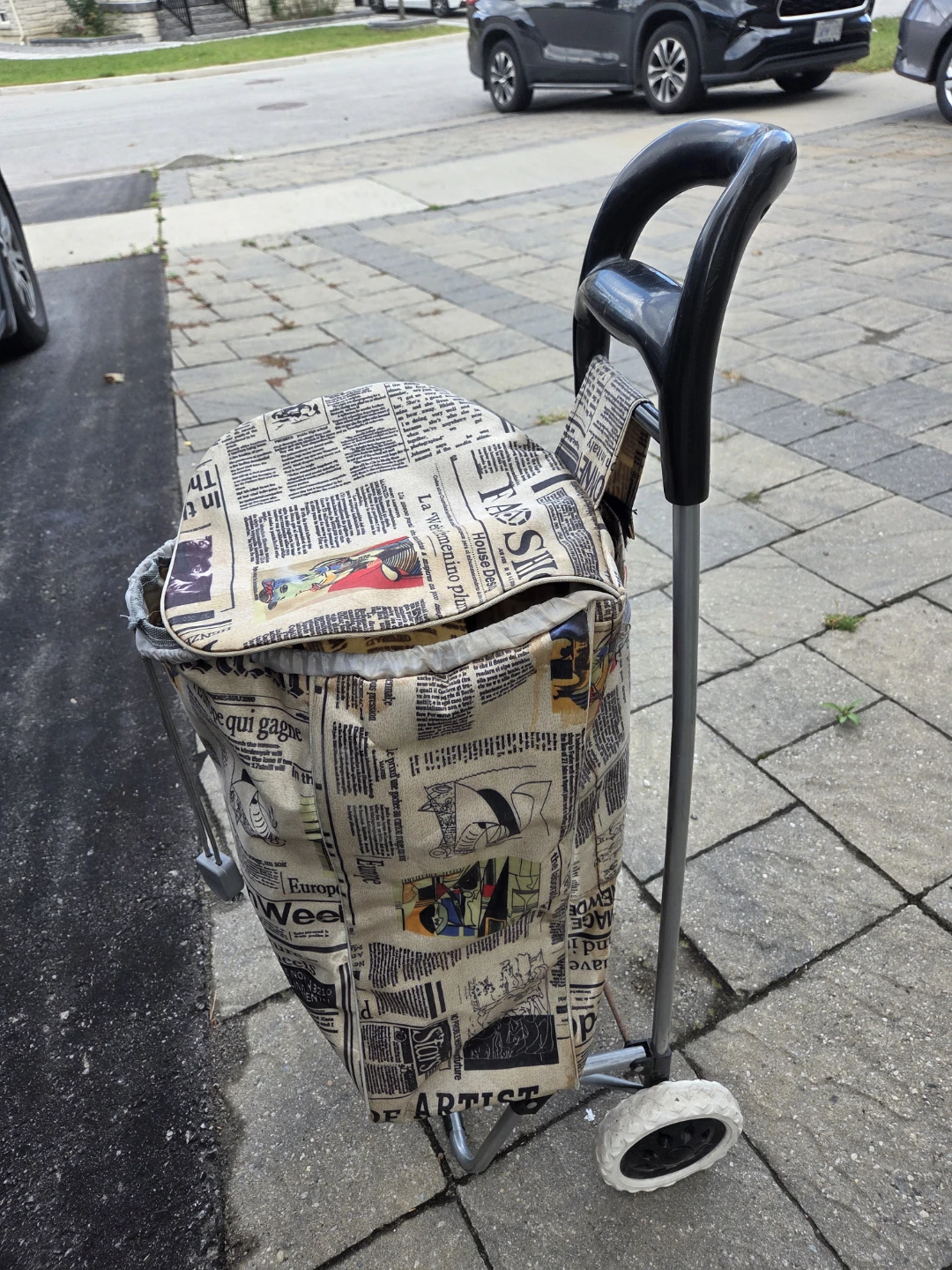 Newspaper Print Rolling Shopping Cart