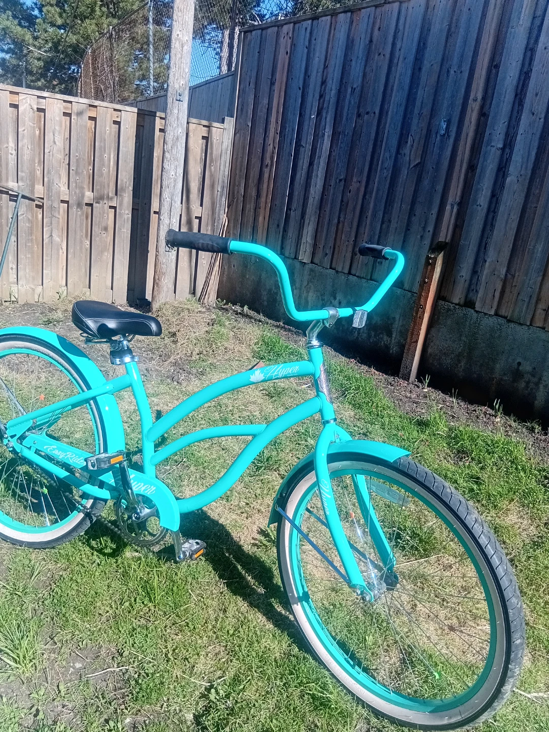 Women's Vintage-style Cruiser Bicycle