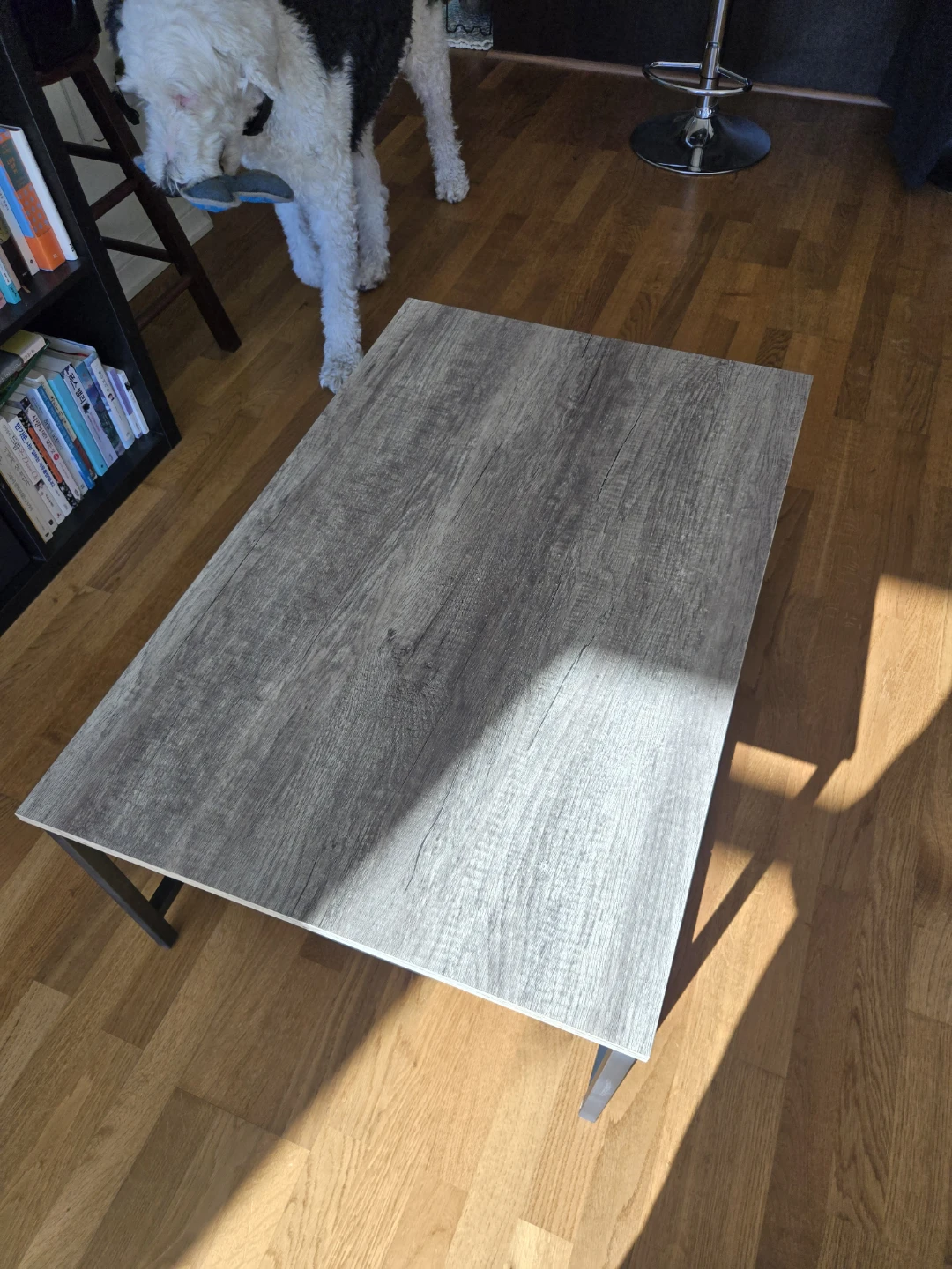 Industrial Coffee Table with Lower Shelf