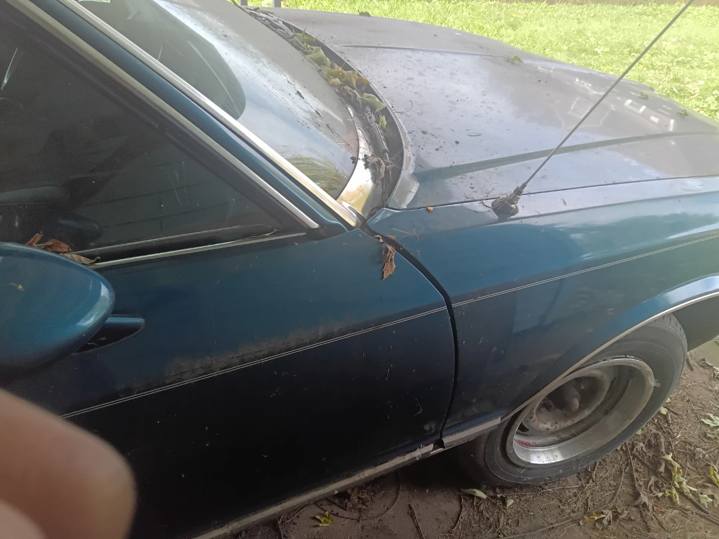 1987 Monte Carlo - photo 3