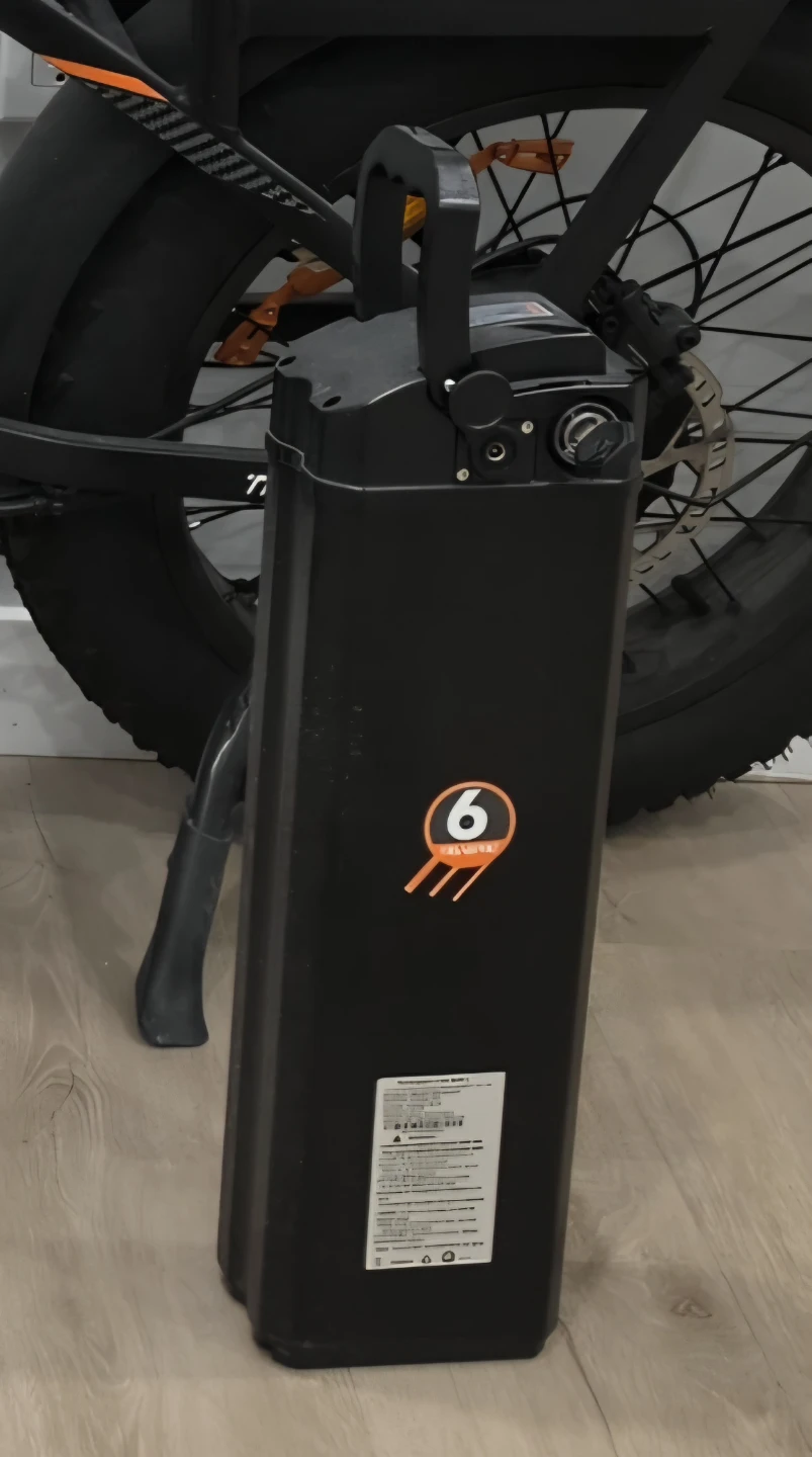 TransPro E-Bike Replacement Battery