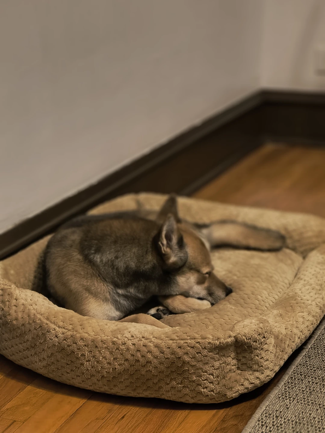 Tan Pet Bed - photo 2