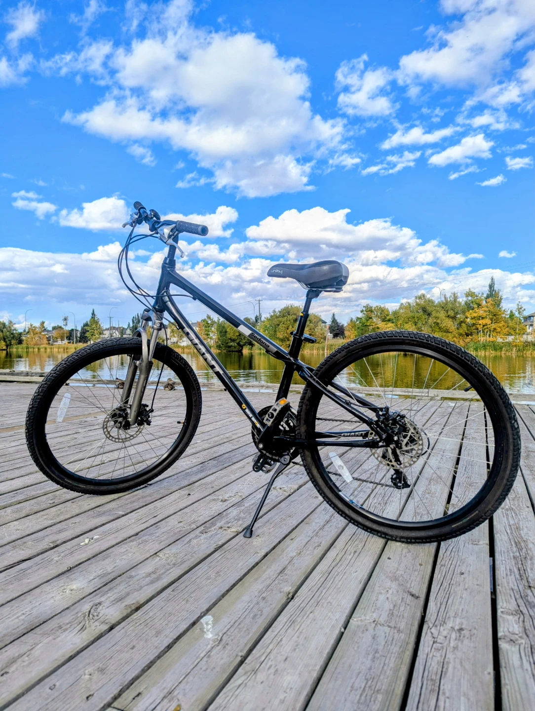 Giant Sedona Mountain Bike (Unisex) - Small