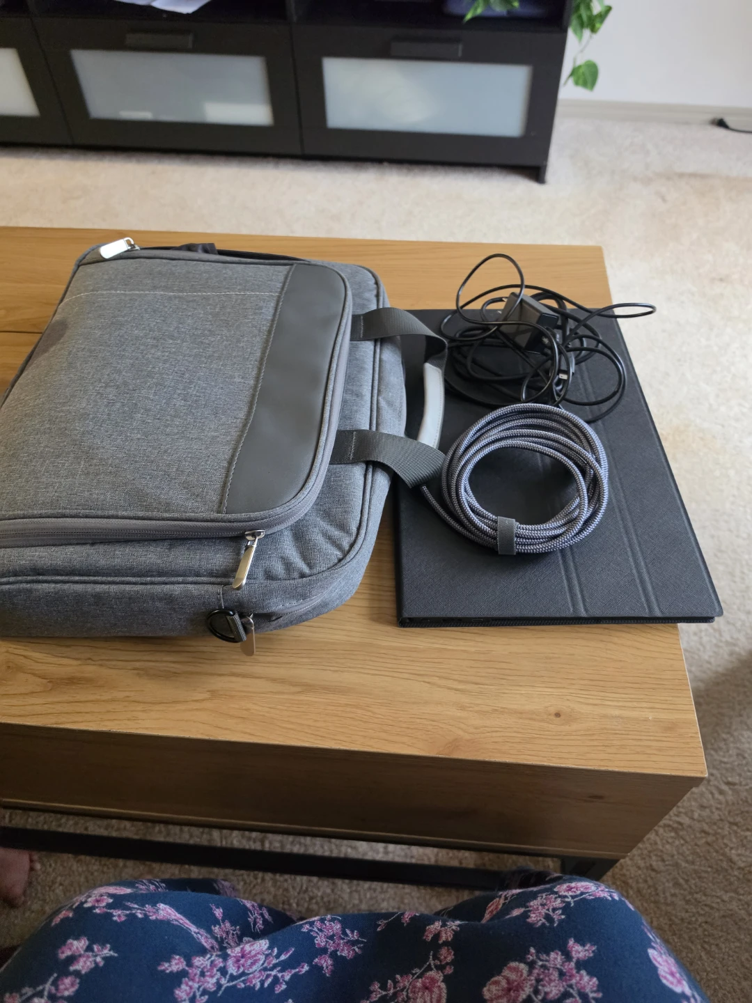 Portable Monitor with Carrying Case and Cables - photo 4