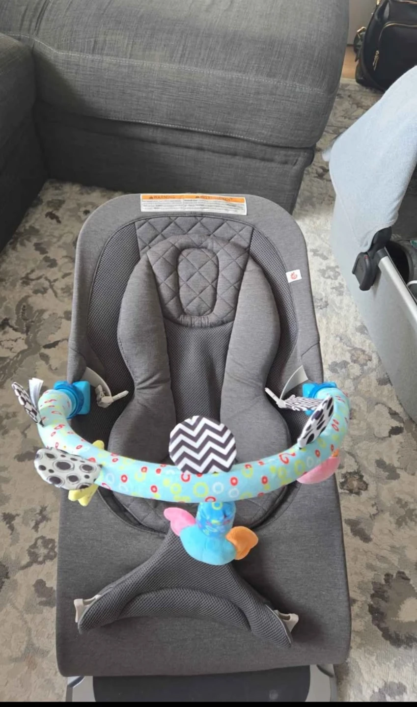 Ergobaby Evolve Bouncer in Dark Grey