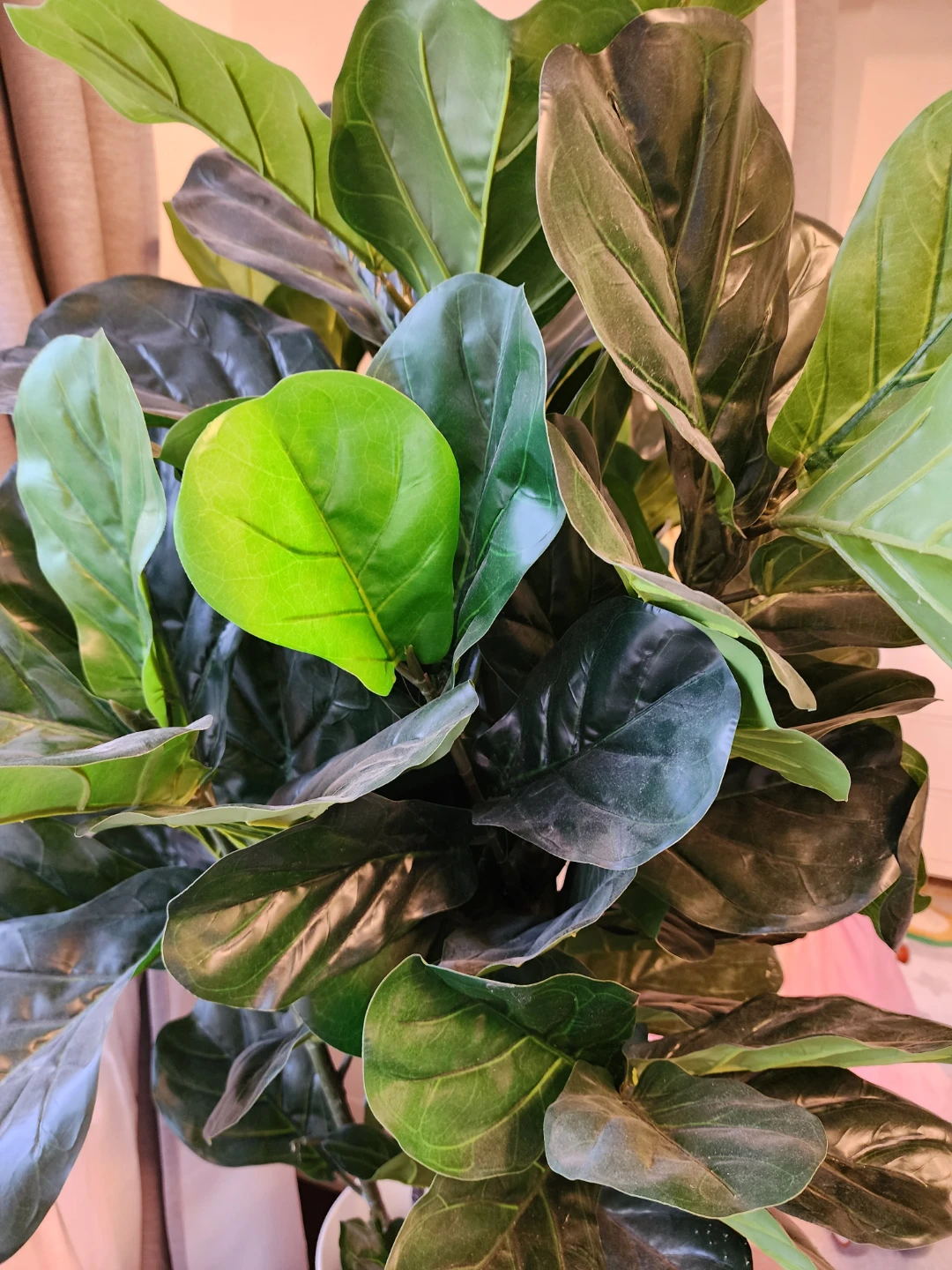 Large Artificial Fiddle Leaf Fig Tree - photo 5