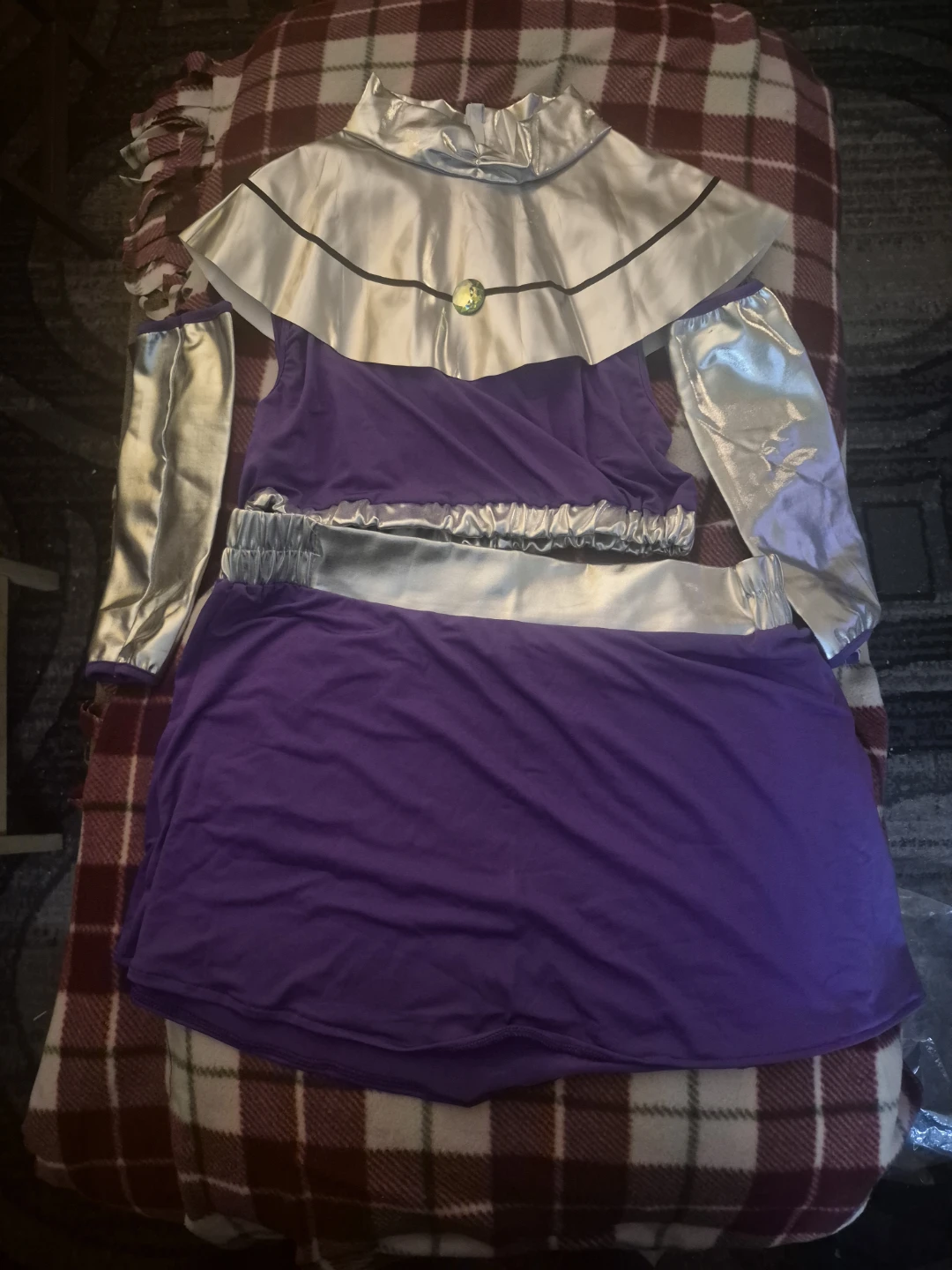 Purple and Silver Costume Set