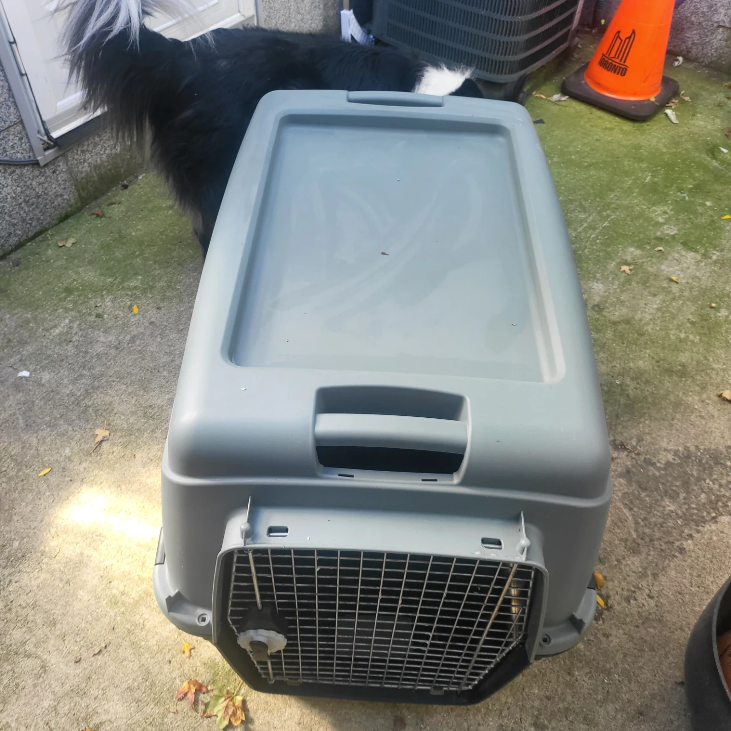 Large Pet Travel Carrier - photo 3
