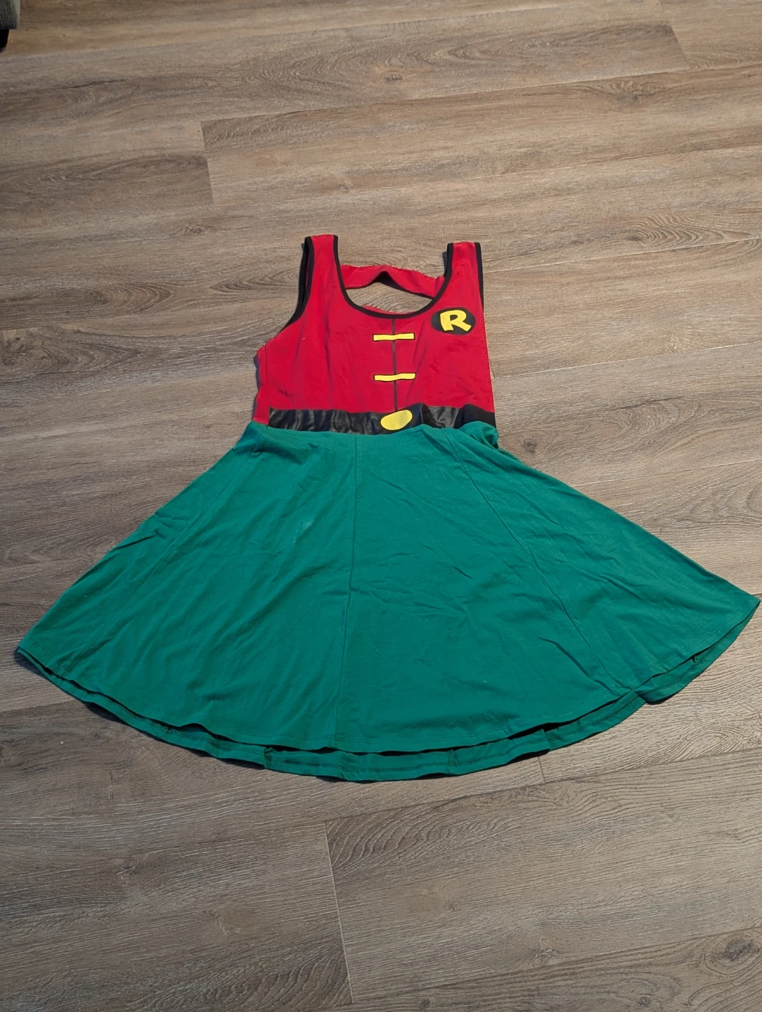 Robin Costume
