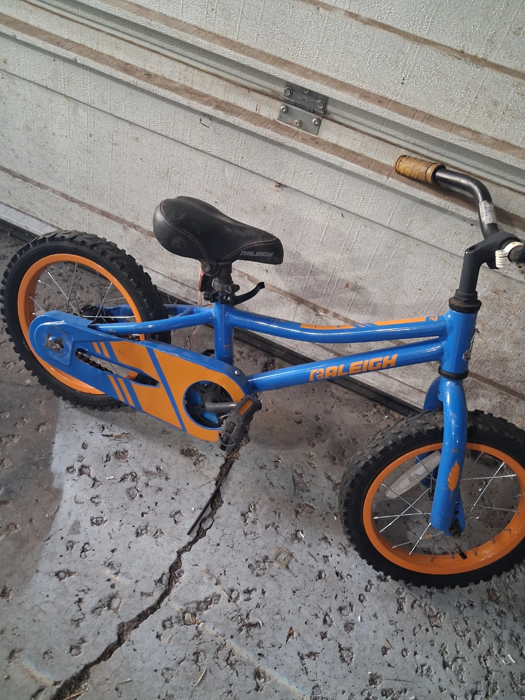Raleigh RAWR Kids Bicycle