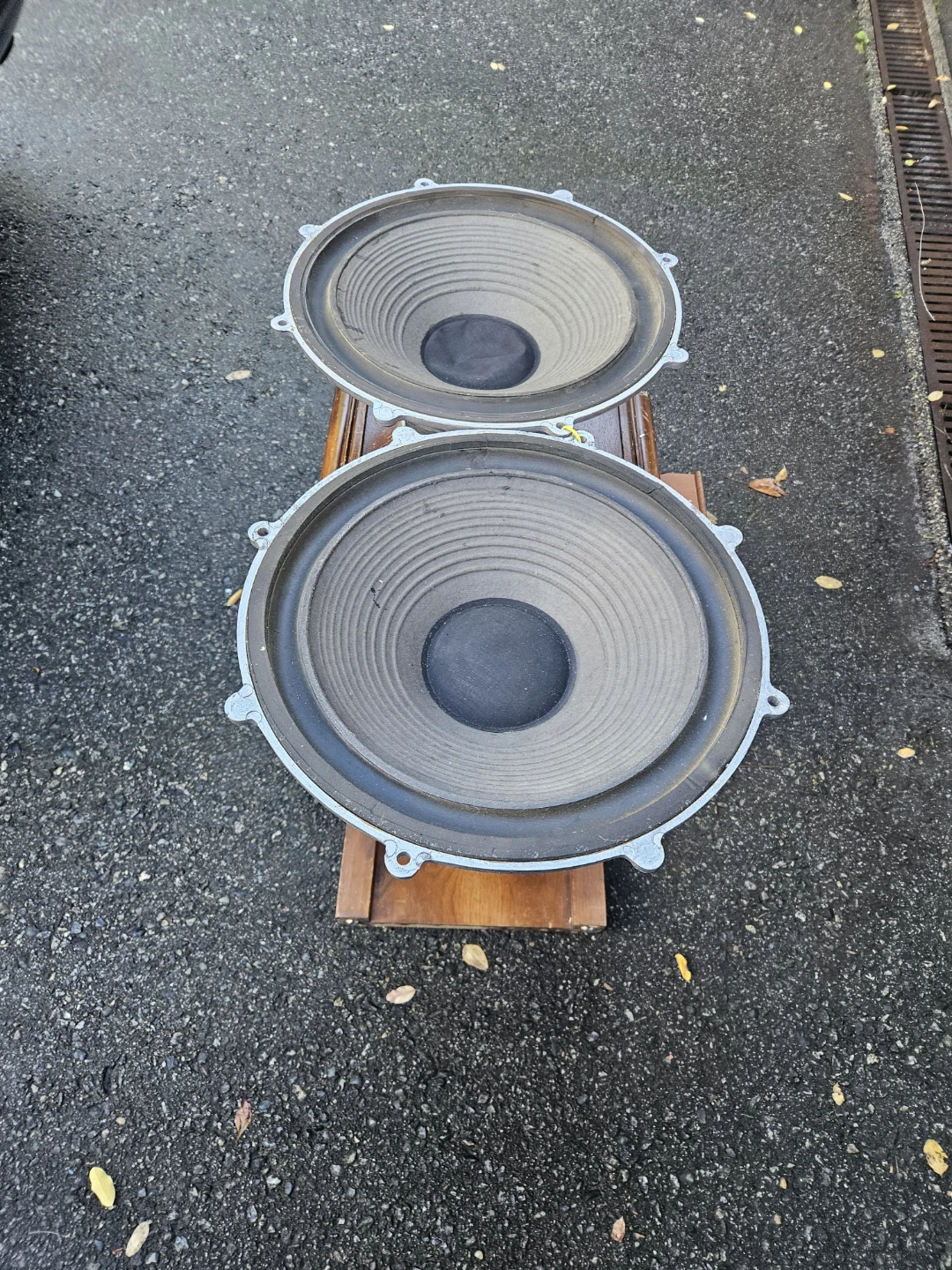 Vintage 12-inch Speakers, Made in England - photo 2