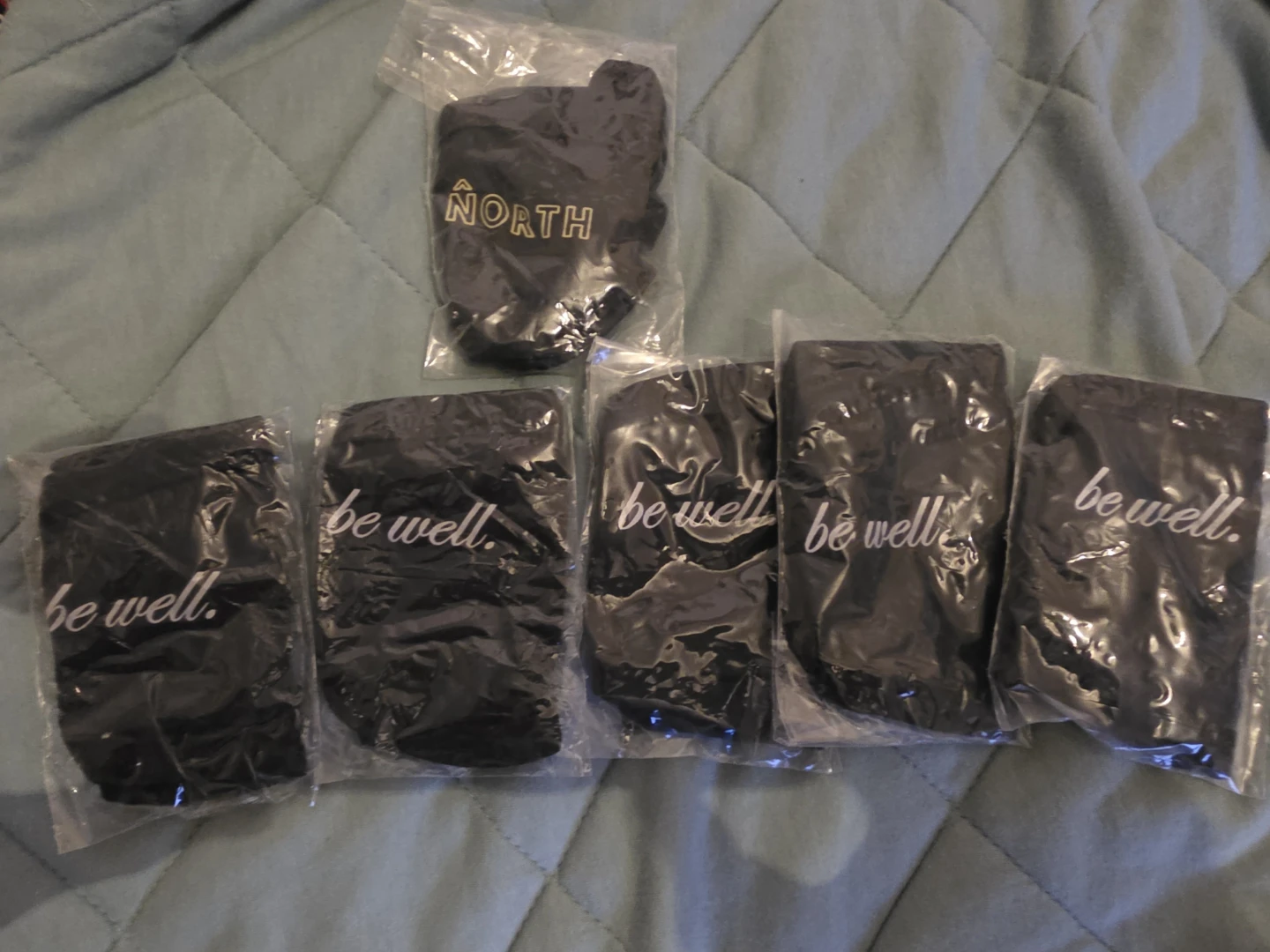 1 North Face and 5 be well Face Masks