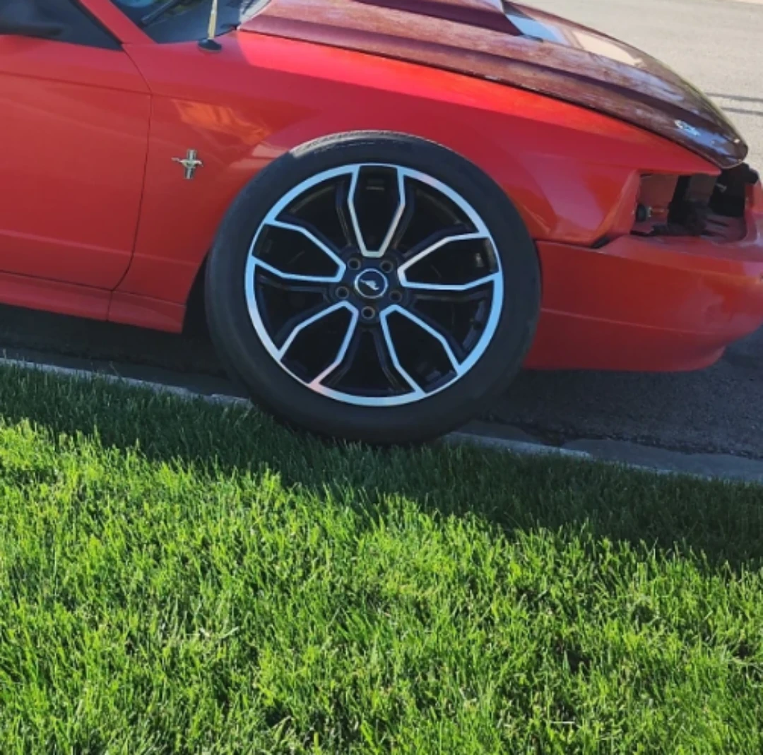 Ford Mustang OEM Wheel