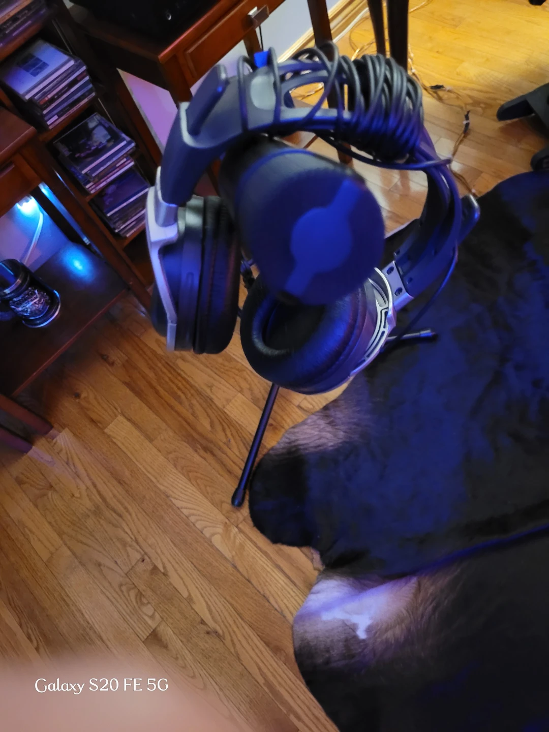 Sony Headphones and Microphone Bundle - photo 3