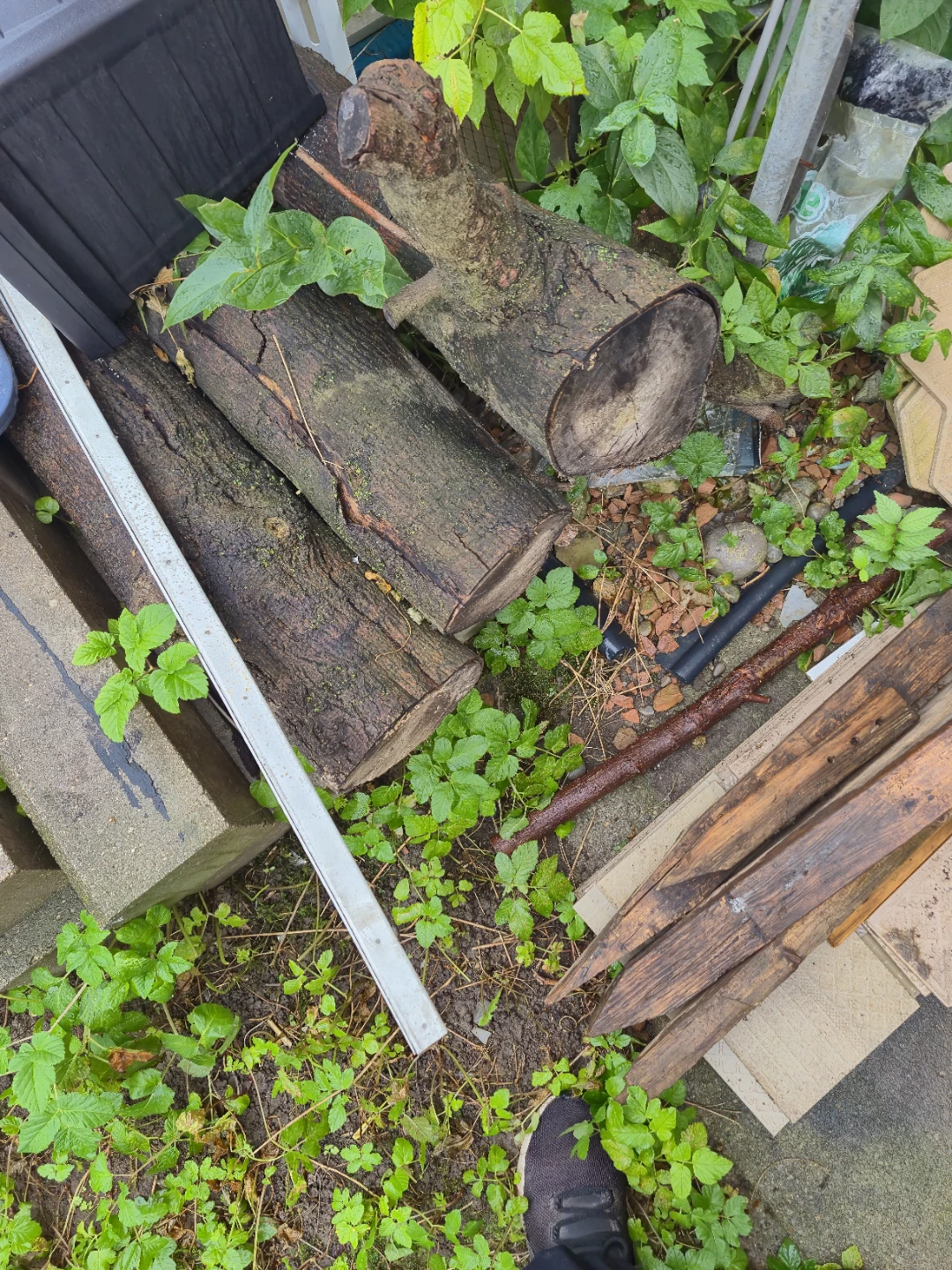 Assorted natural wood logs - photo 2