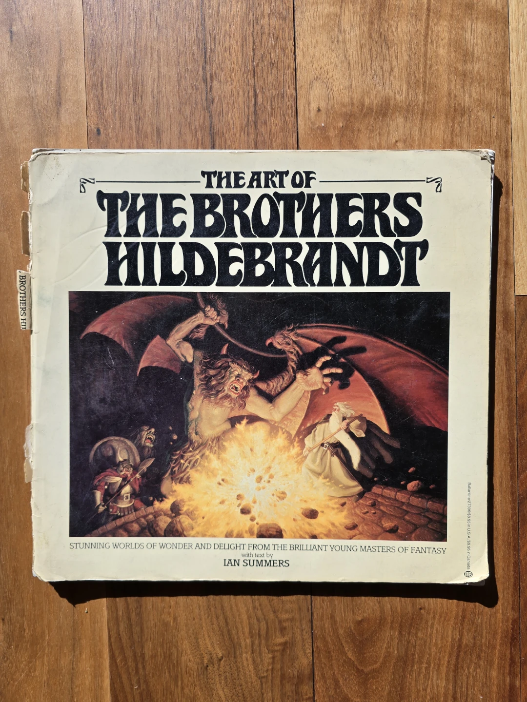 The Art of the Brothers Hildebrandt