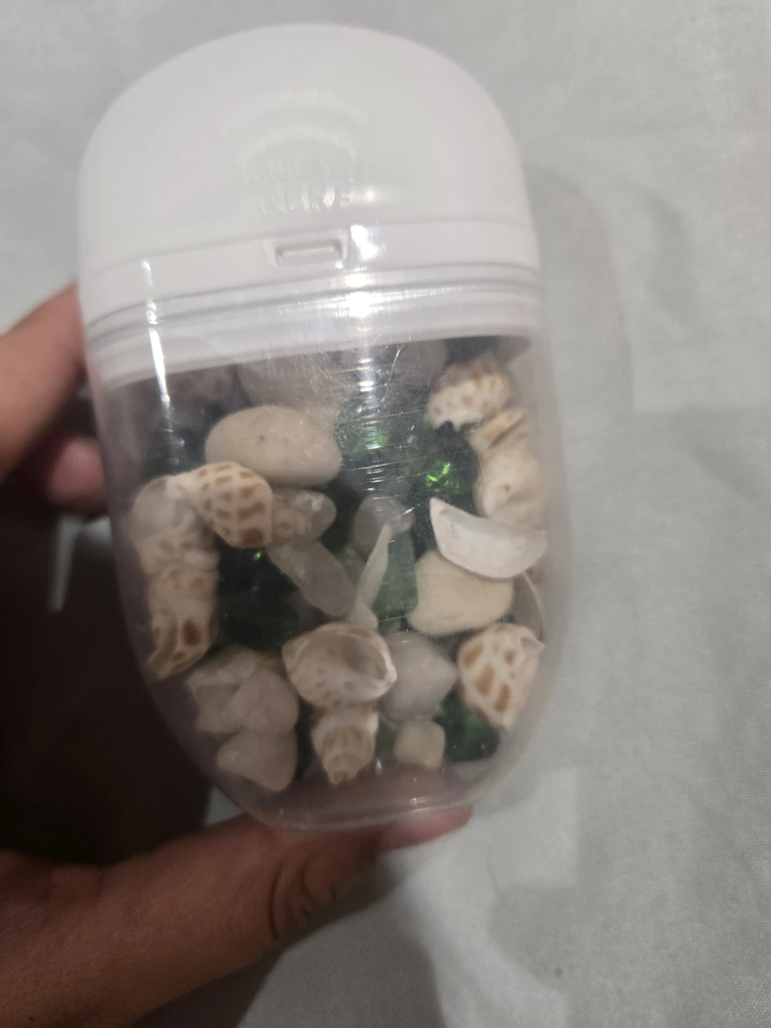 Small Plastic Container with Decorative Shells and Stones