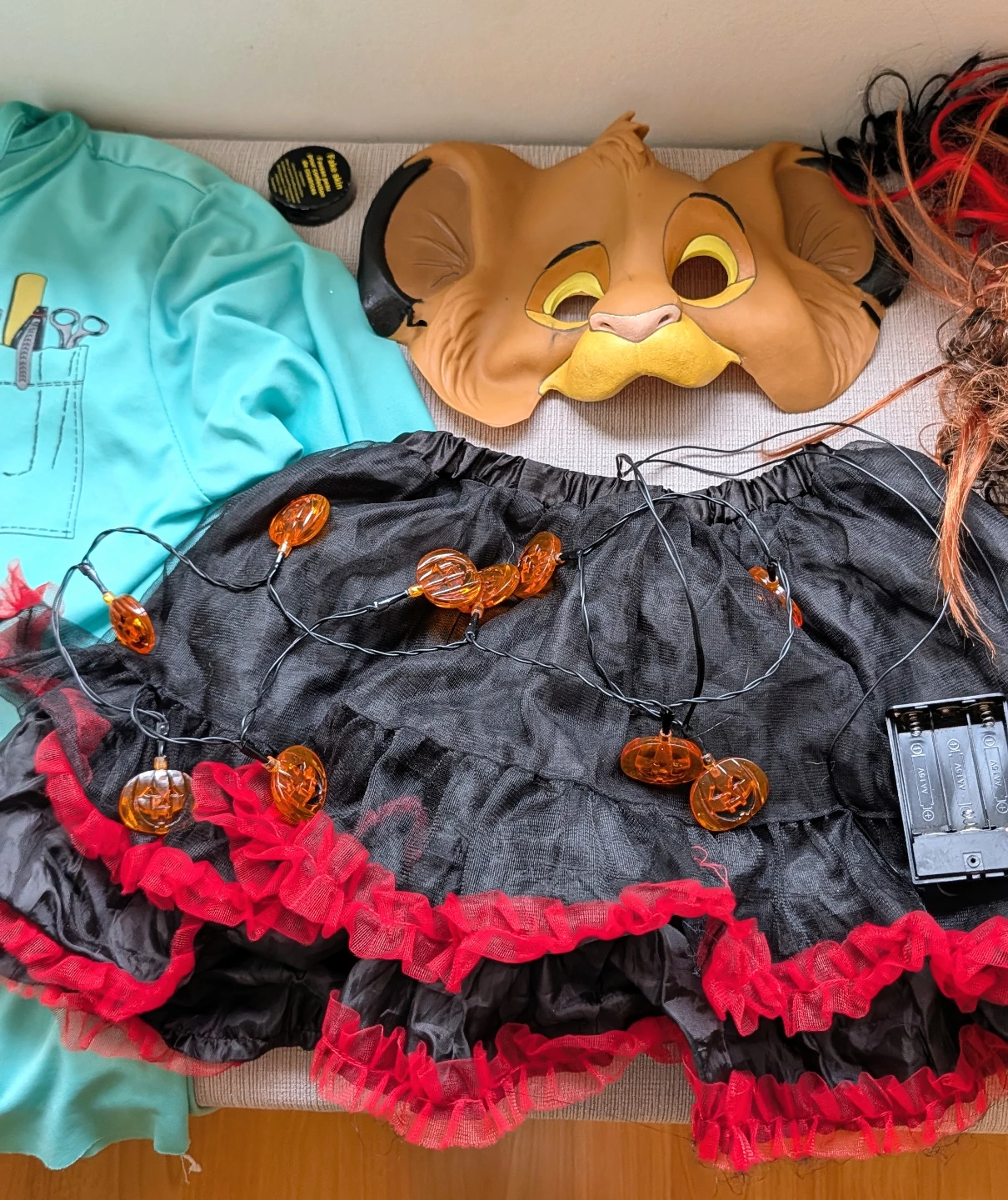 Assorted Halloween Costumes and Halloween Accessories - photo 3