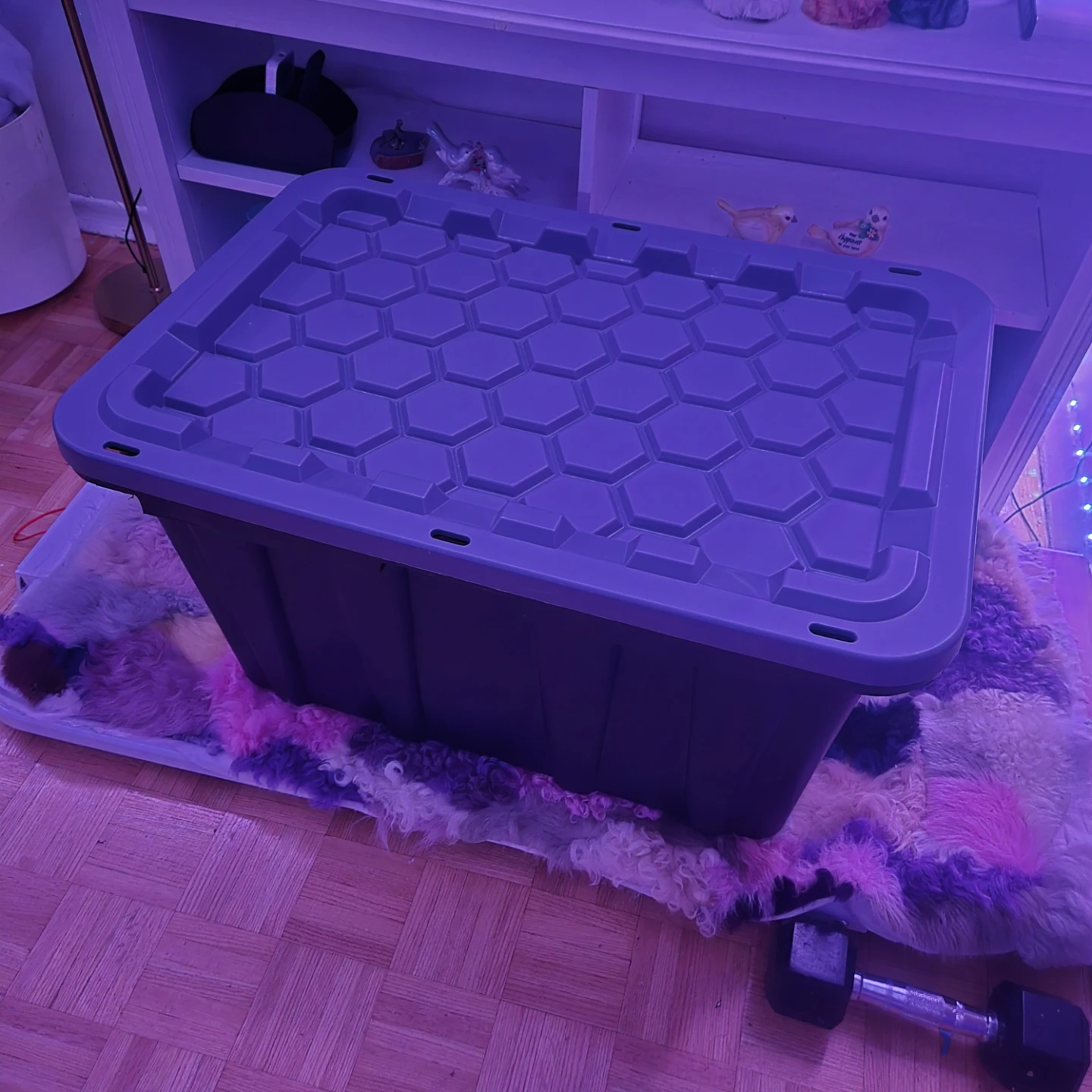 Storage bin