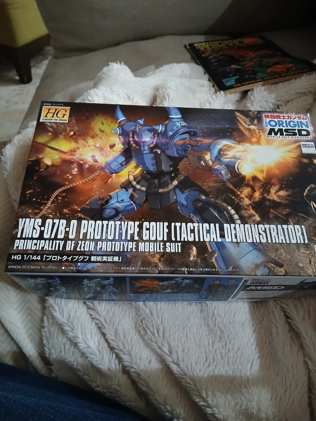 Bandai HG 1/144 YMS-07B-0 Prototype Gouf - photo 2