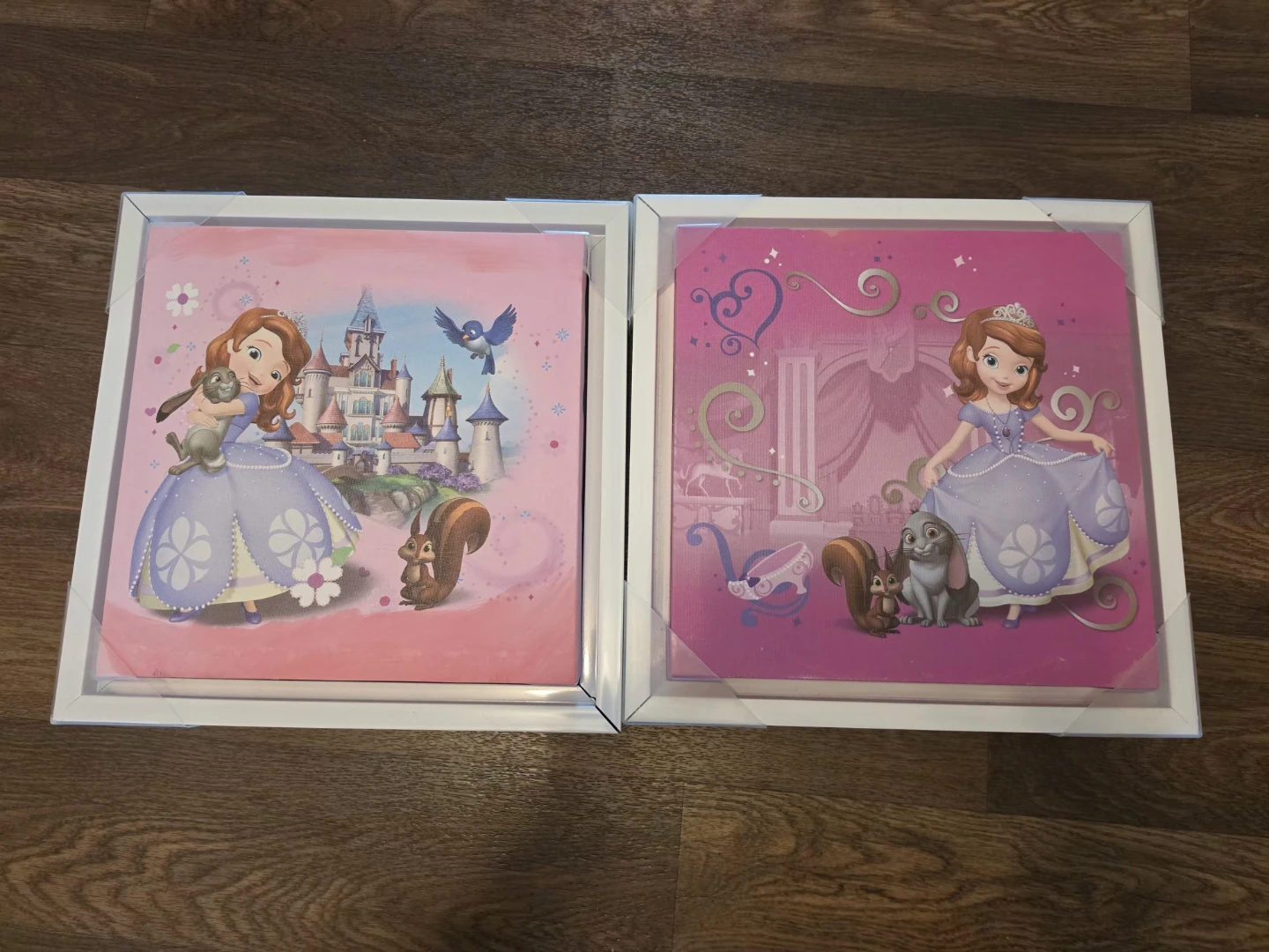 Sofia the First Canvas Art Set - photo 3