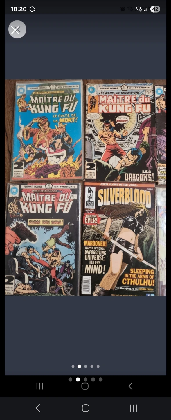 Collection of Maitre du Kung Fu and Silverblood comics - photo 2