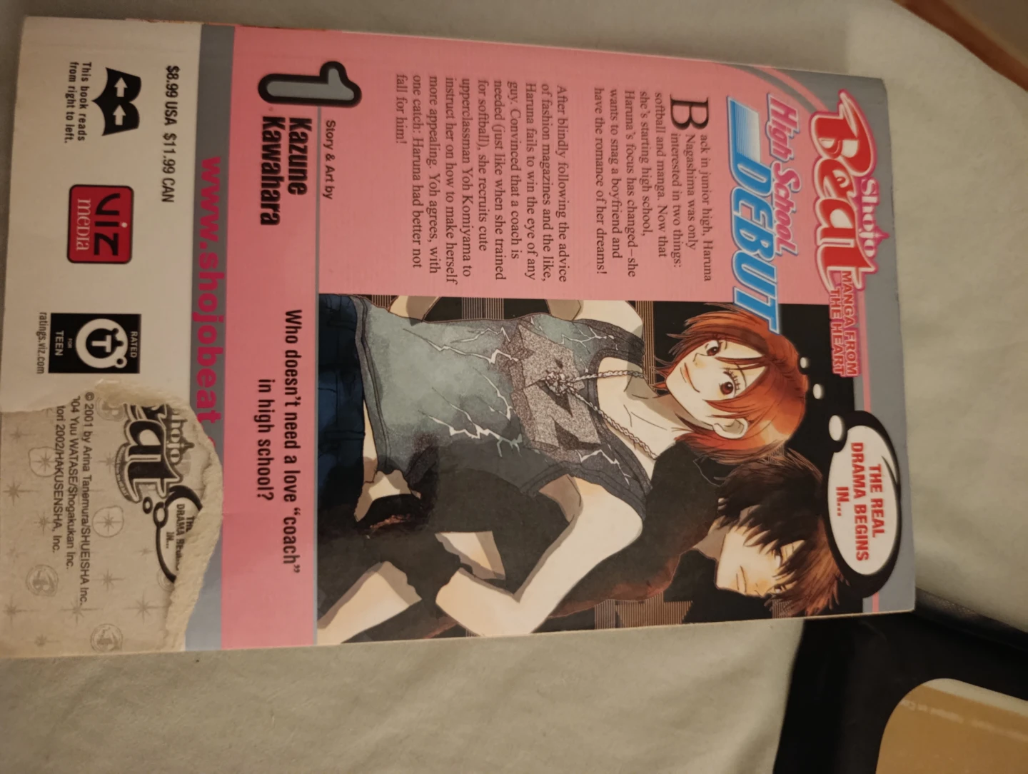High School Debut Vol. 1 Manga - photo 2