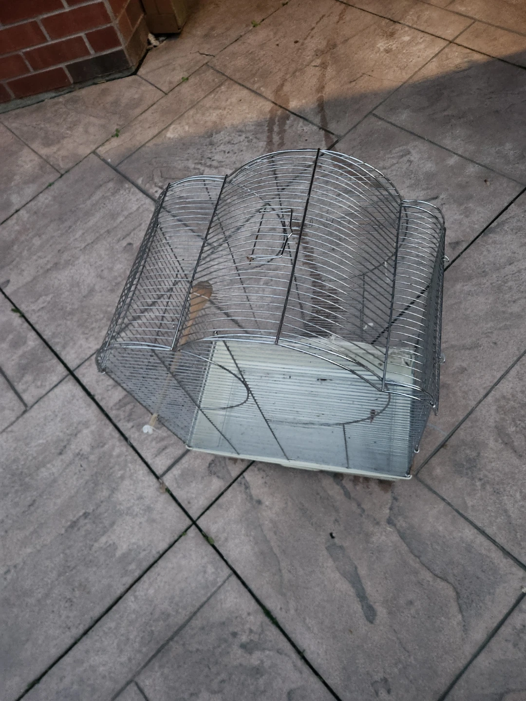 Birdcage - photo 4