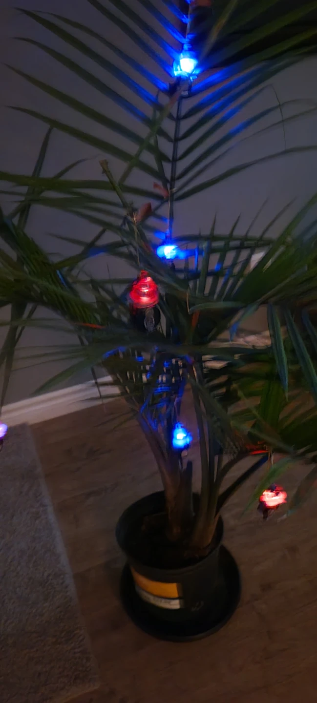 Montreal Canadiens Light-Up Hockey Puck Ornament